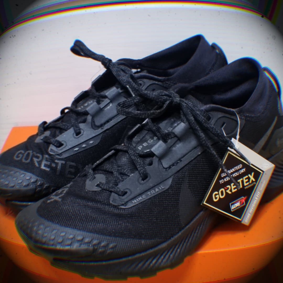 Nike Pegasus Trail 3 Gore-Tex Black Dark Smoke Grey 착용 스타일 - 1