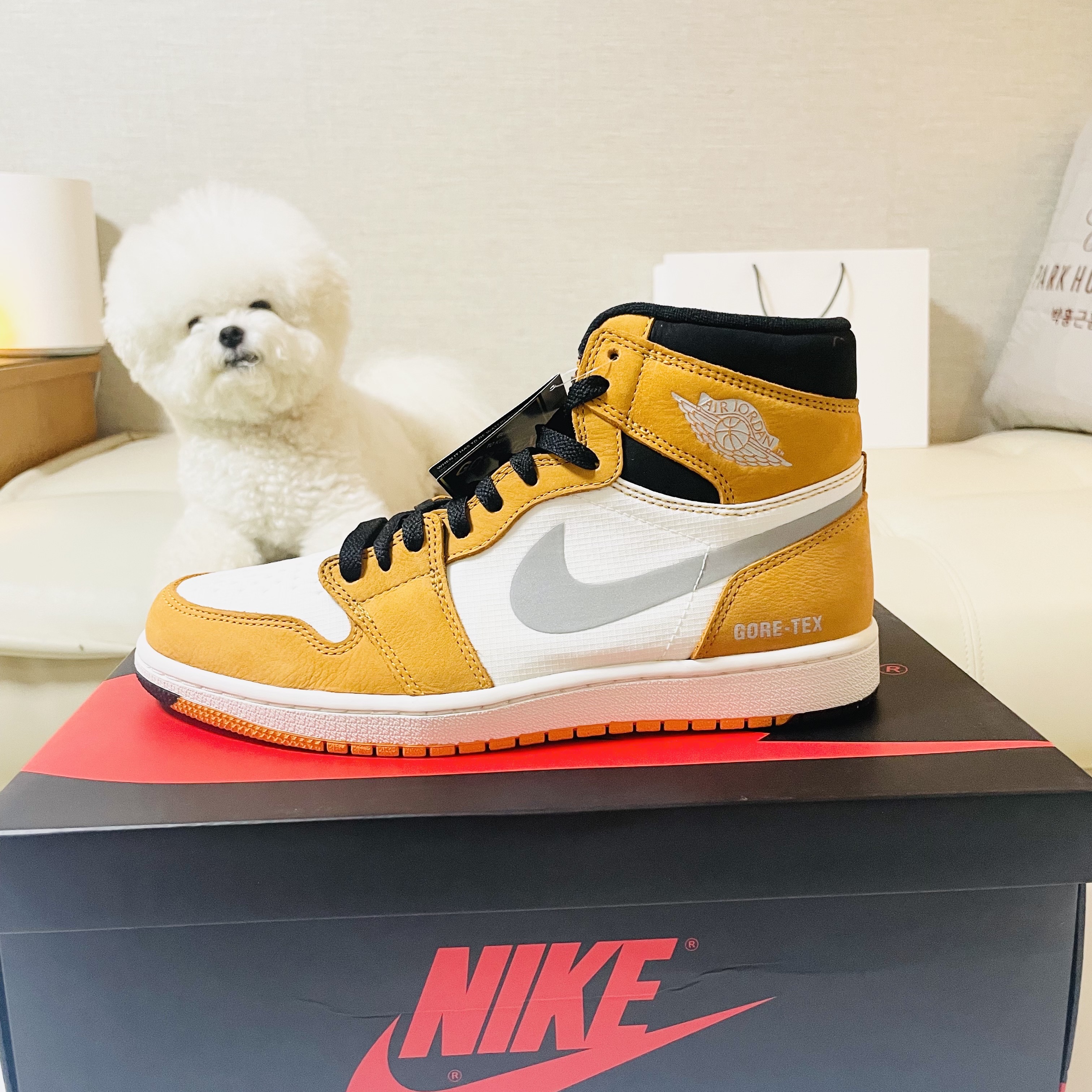 Jordan 1 Element Gore-Tex Light Curry 착용 스타일