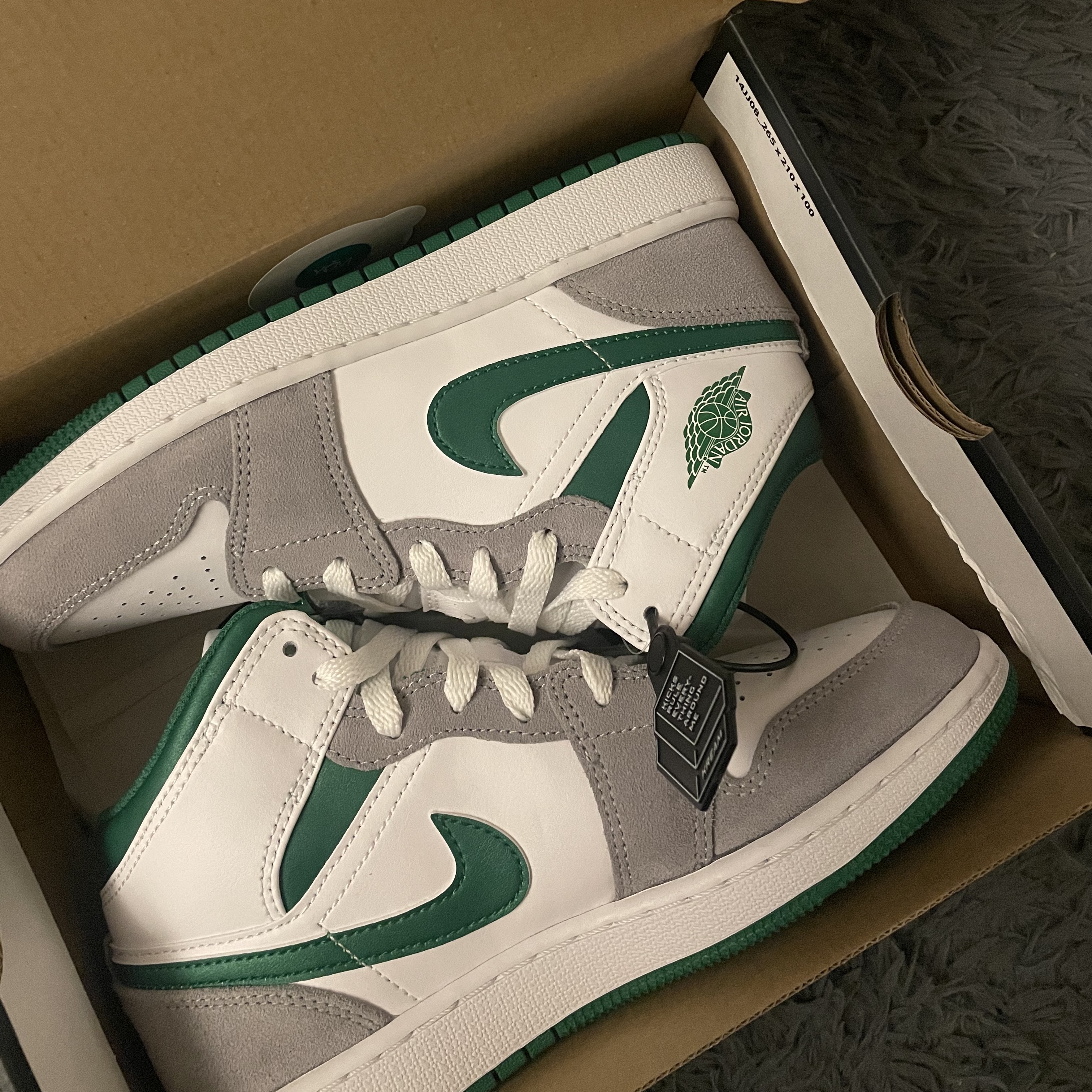(GS) Jordan 1 Mid SE Pine Green Light Smoke Grey 착용 스타일