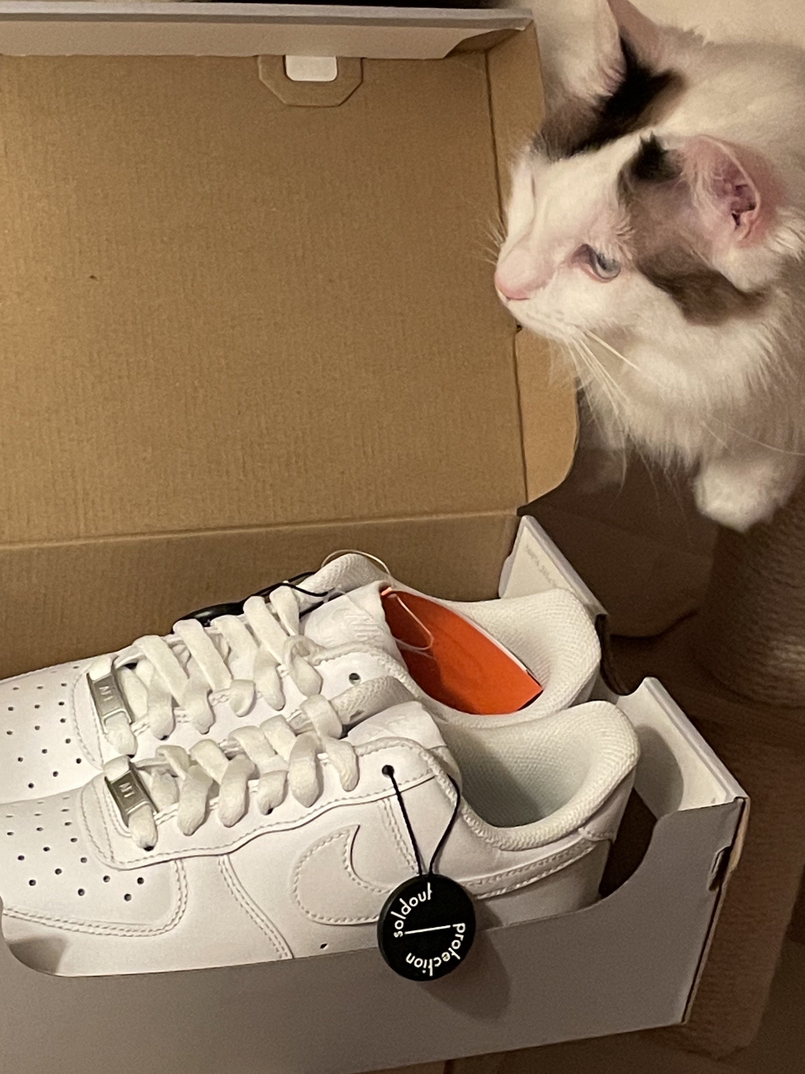 (W) Nike Air Force 1 '07 Low White, Nike Air Force 1 '07 Low White 착용 스타일 - 1