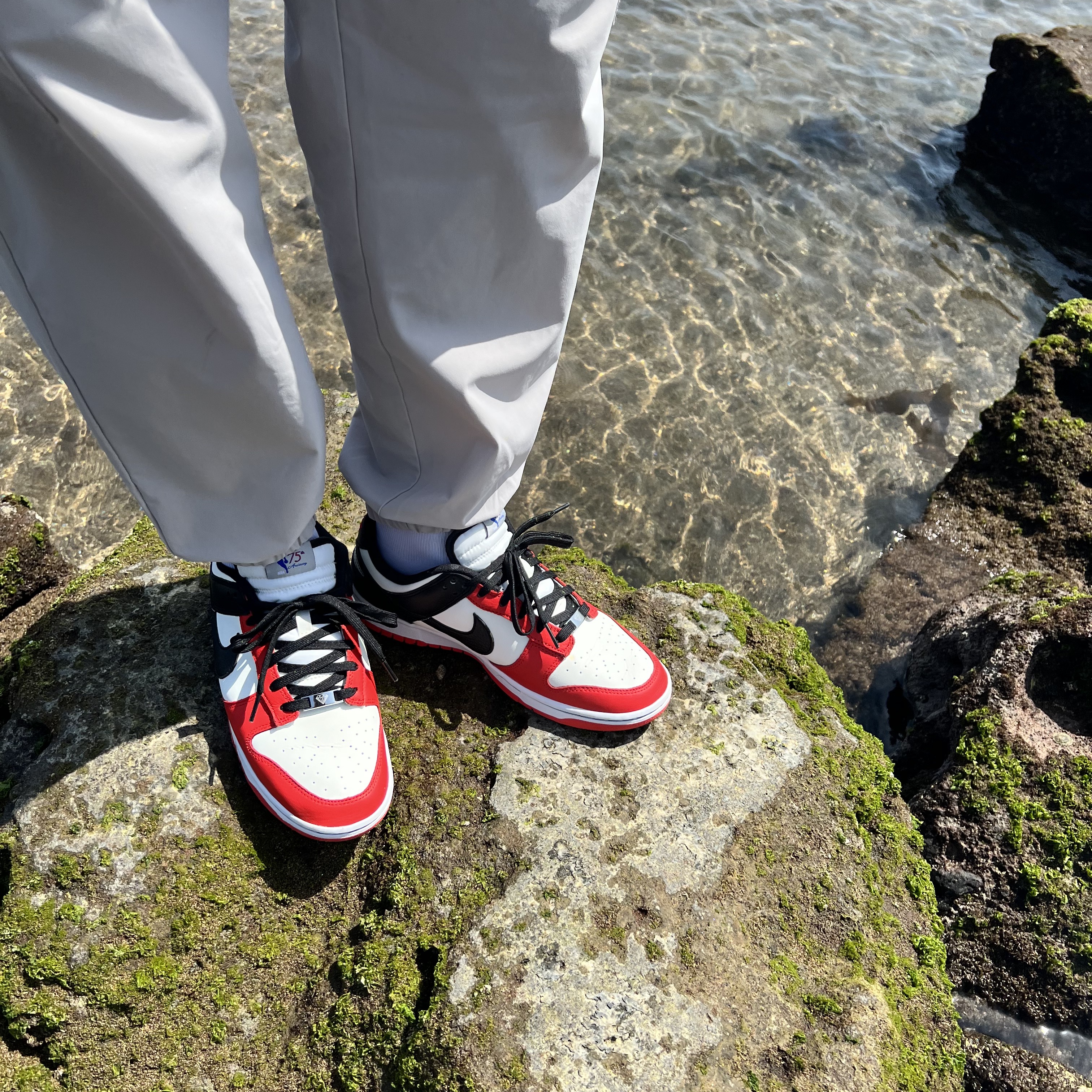 Nike x NBA Dunk Low Retro EMB Black and Chile Red 착용 스타일