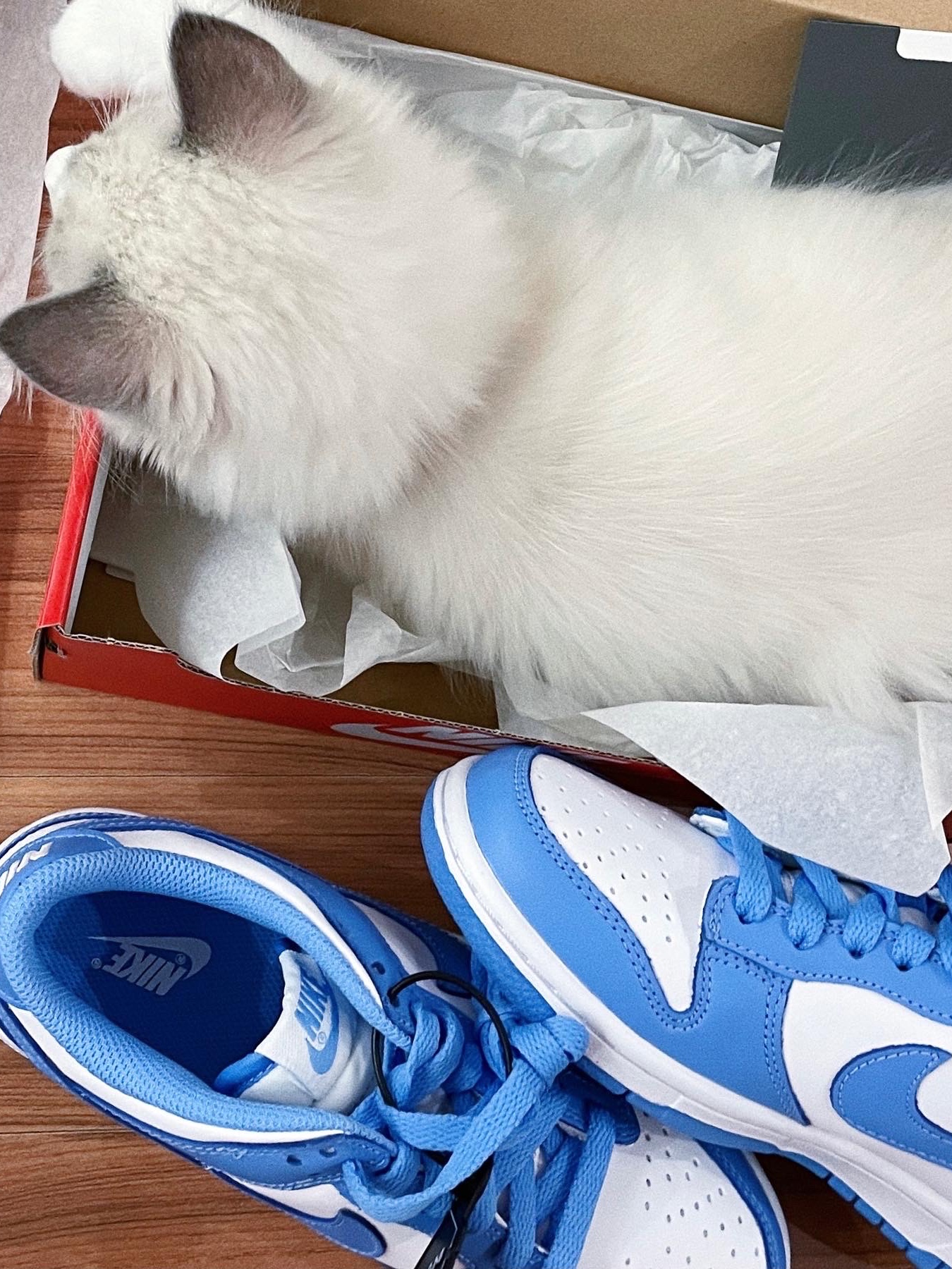 Nike Dunk Low Retro University Blue 착용 스타일