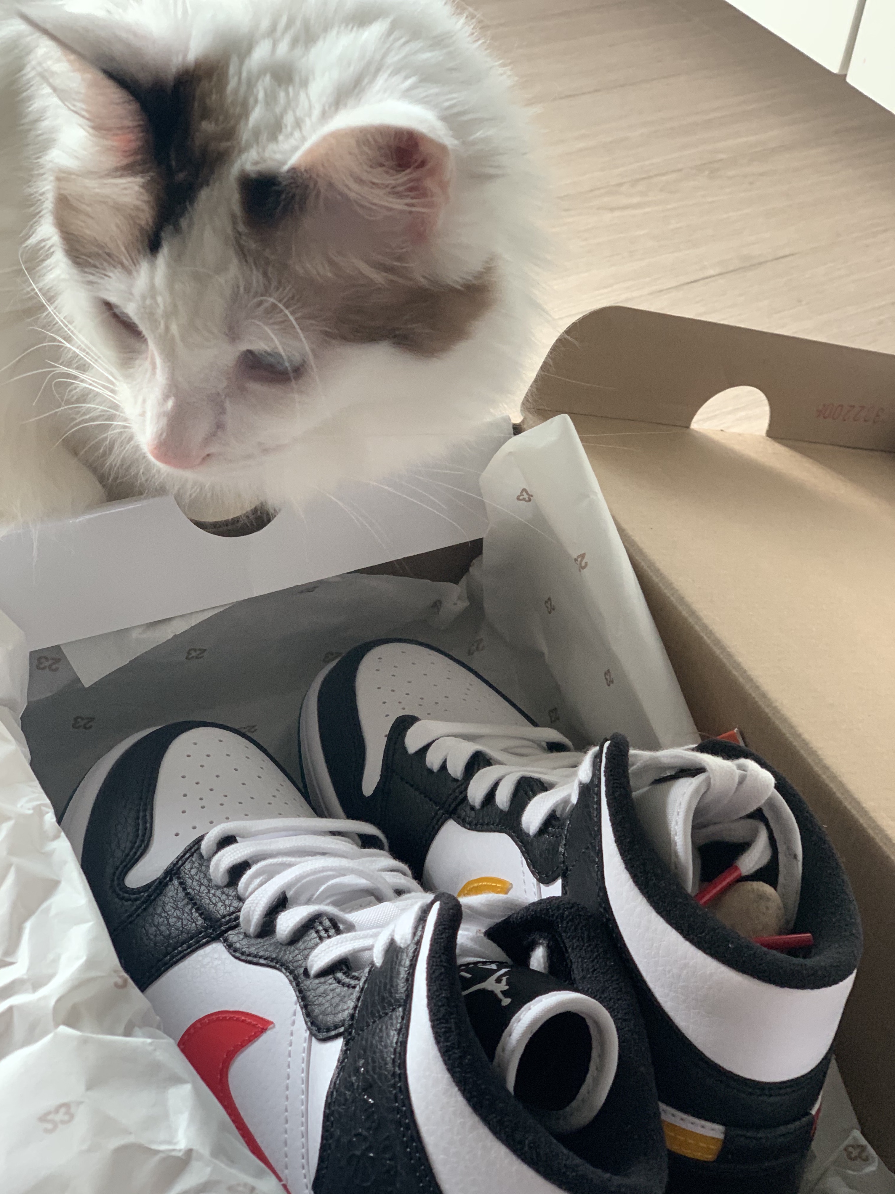 (W) Jordan 1 Mid Alternate Swooshes 착용 스타일 - 1