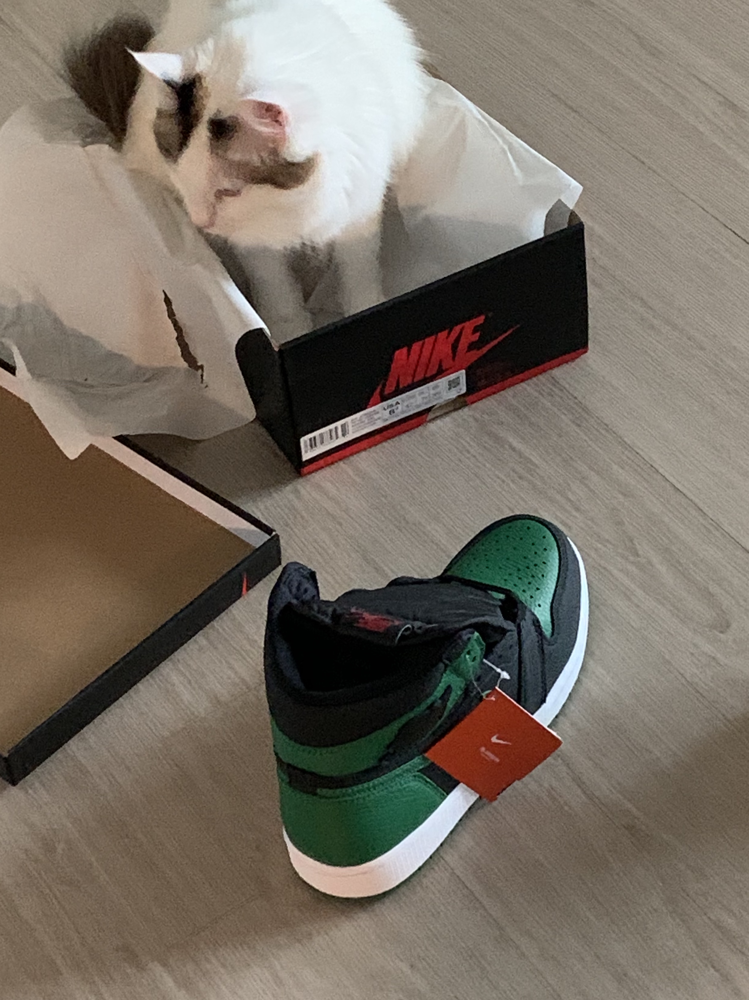 Jordan 1 Retro High OG Pine Green Black 착용 스타일