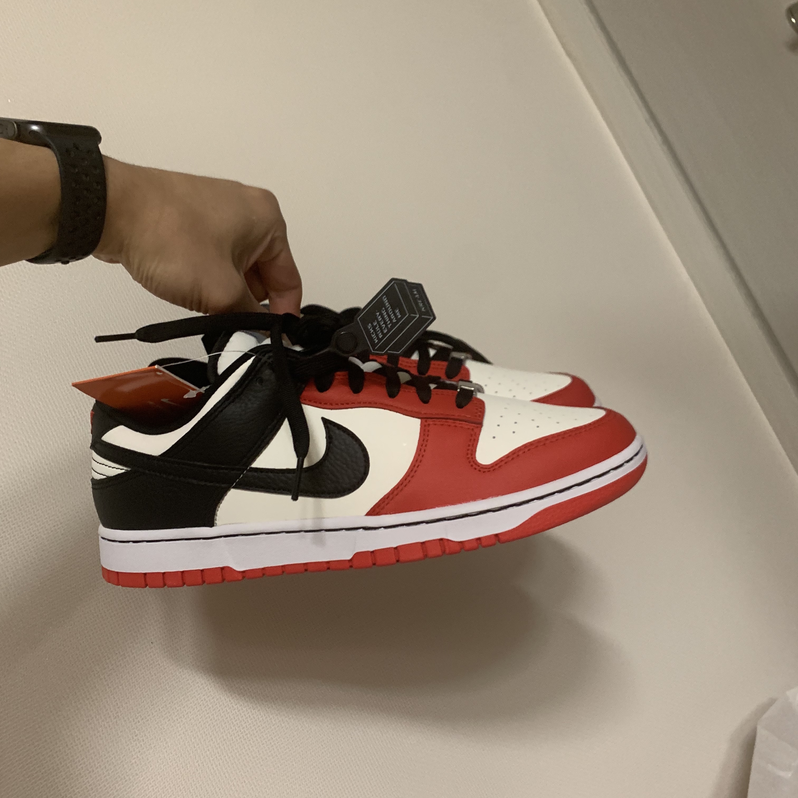 Nike x NBA Dunk Low Retro EMB Black and Chile Red 착용 스타일
