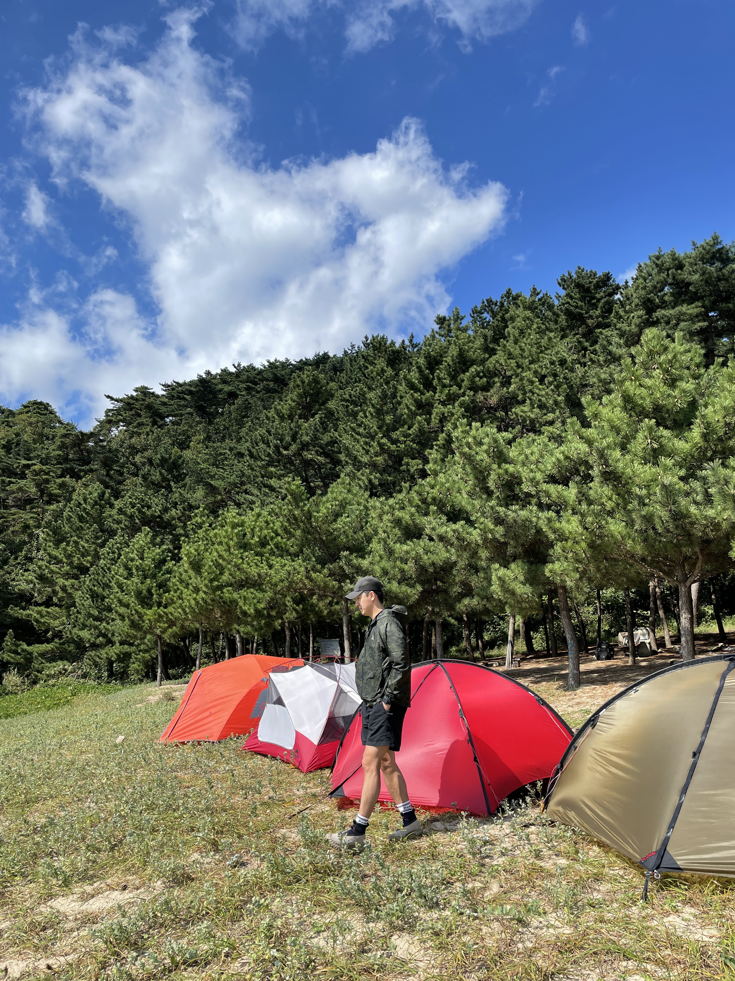 Nike NRG ACG Trail Shorts Black Anthracite - Asia, Nike ACG Mountain Fly Gore-Tex Khaki 착용 스타일