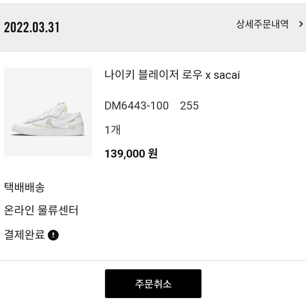Nike x Sacai Blazer Low White Patent Leather 착용 스타일