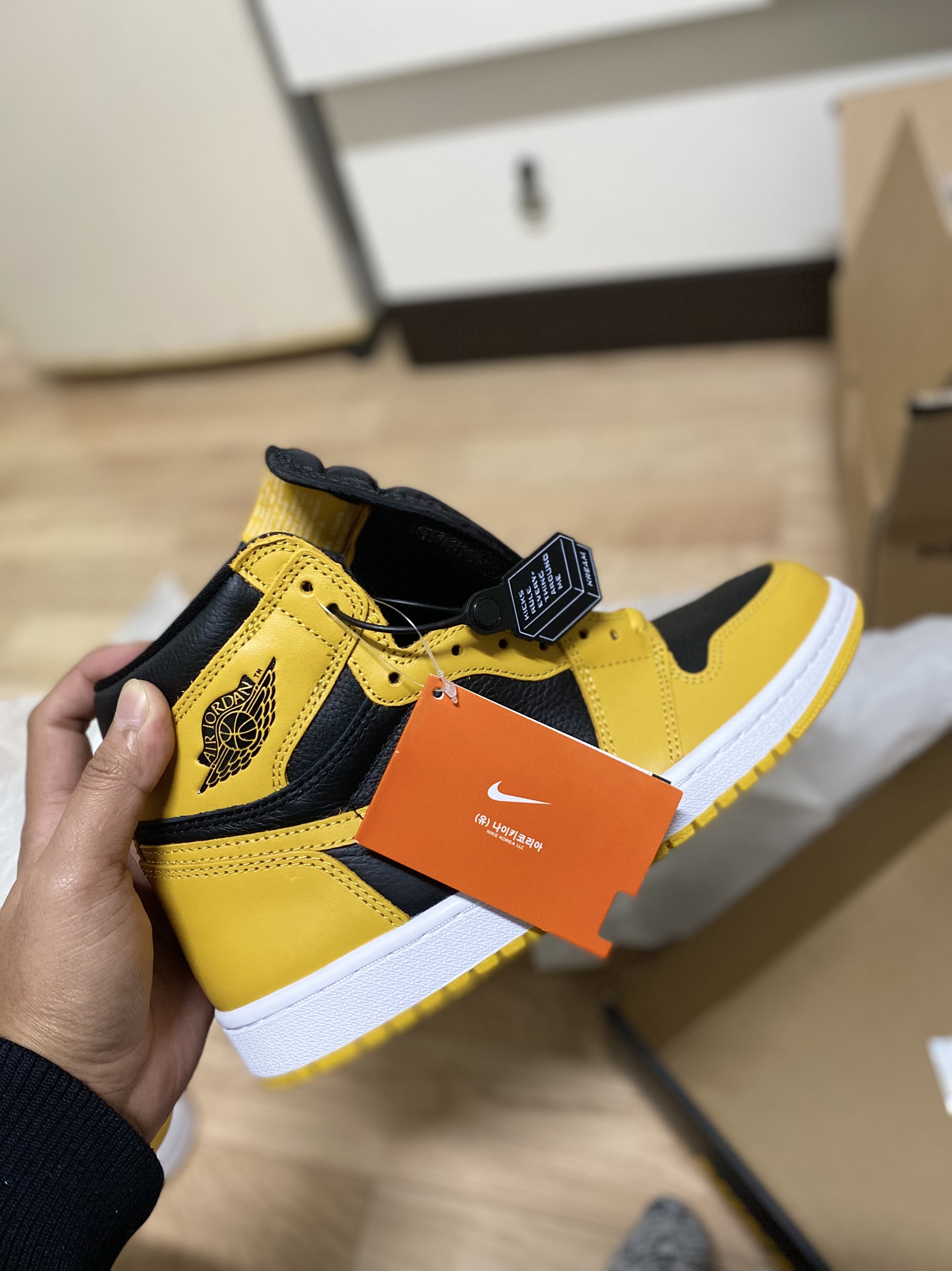 Jordan 1 Retro High OG Pollen 착용 스타일 - 2