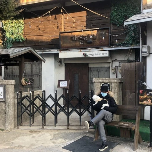 스타일 카드