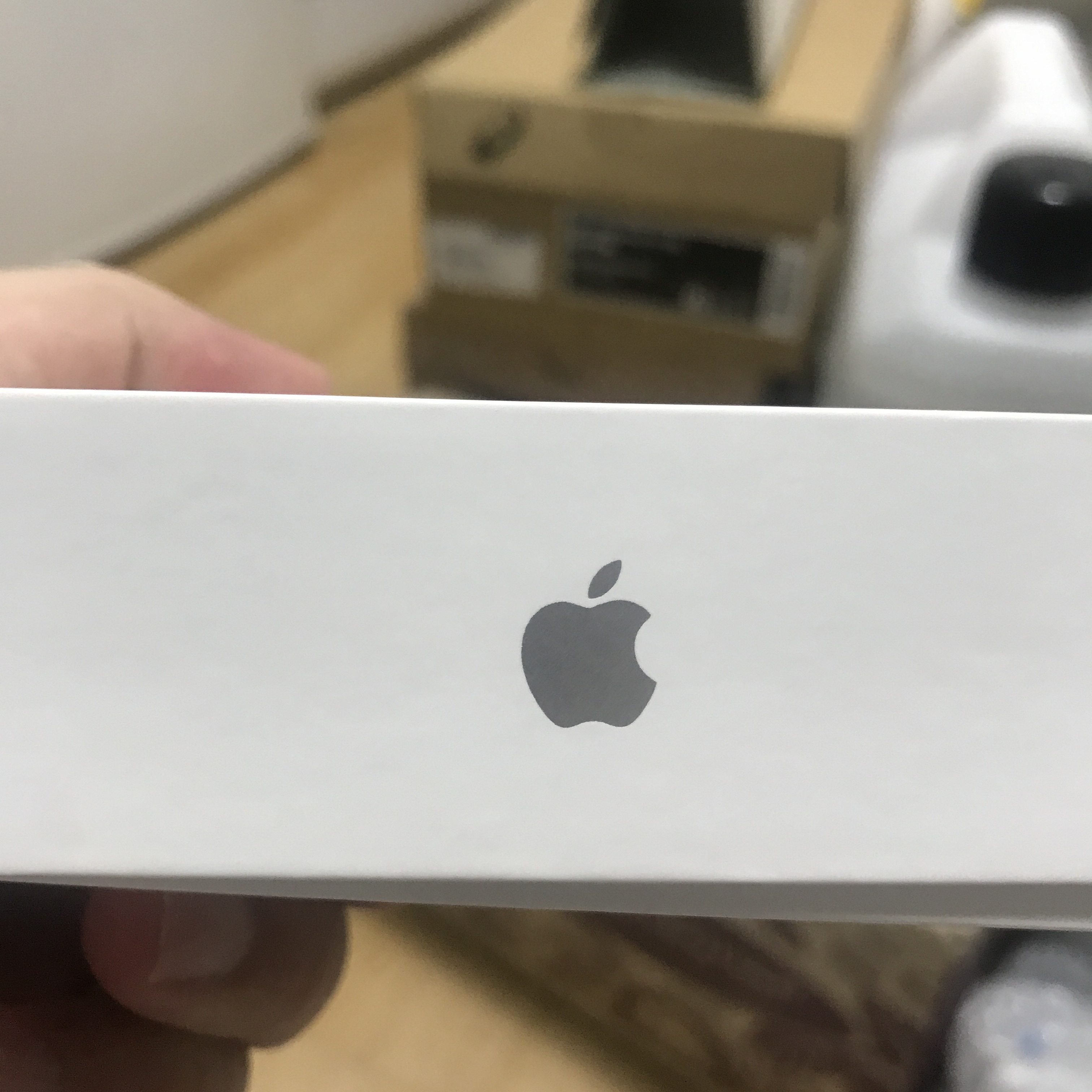 Apple AirPods 2nd Gen (Korean Ver.) 착용 스타일 - 1