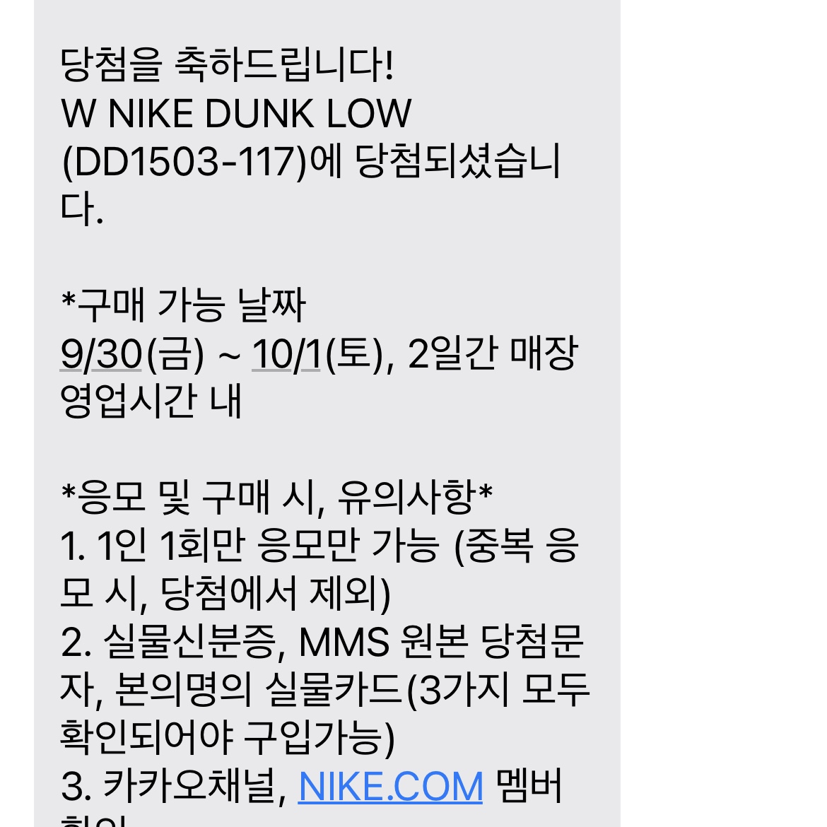 (W) Nike Dunk Low Light Smoke Grey 착용 스타일 - 3