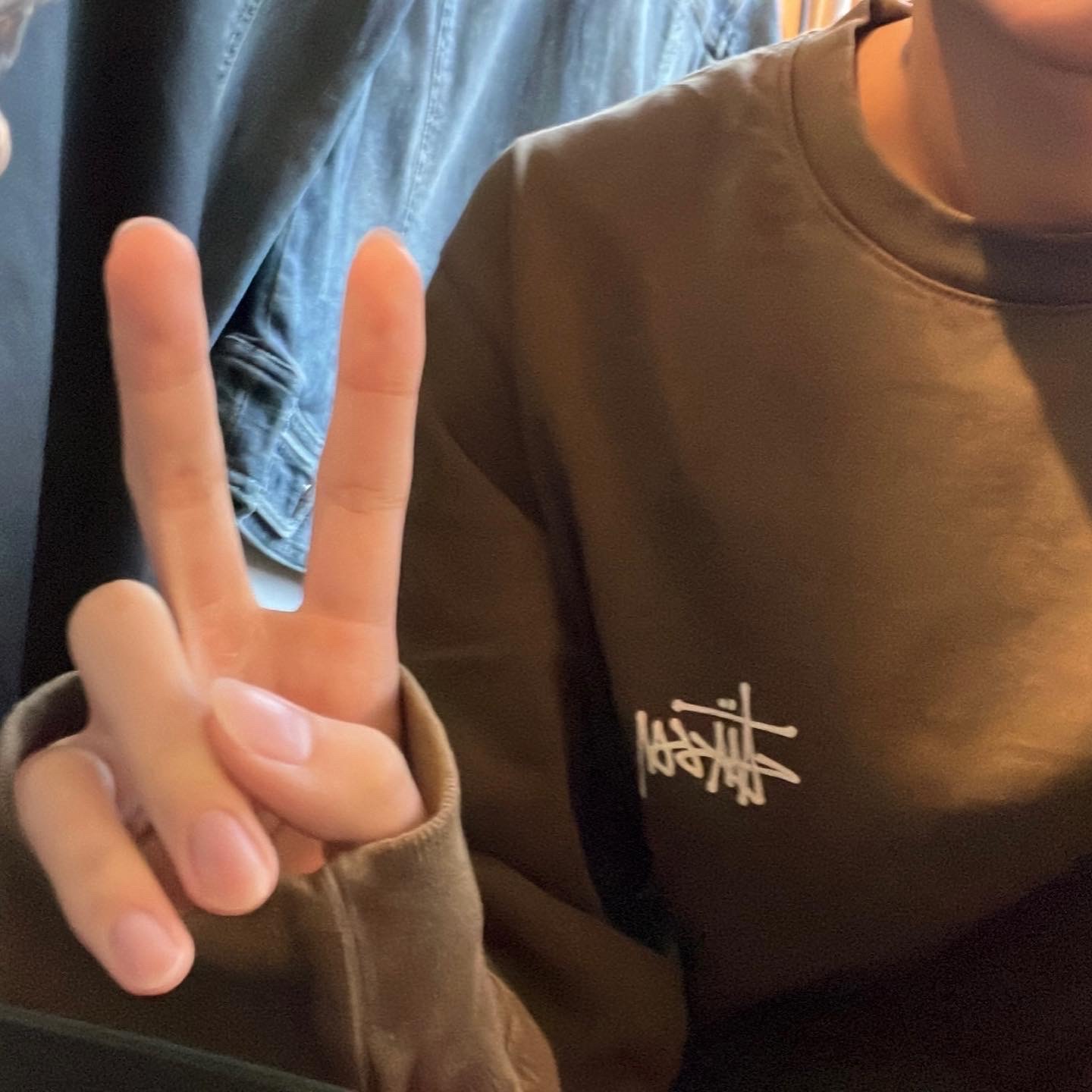 Stussy Basic Stussy Pigment Dyed LS T-Shirt Coffee 2022 착용 스타일 - 2