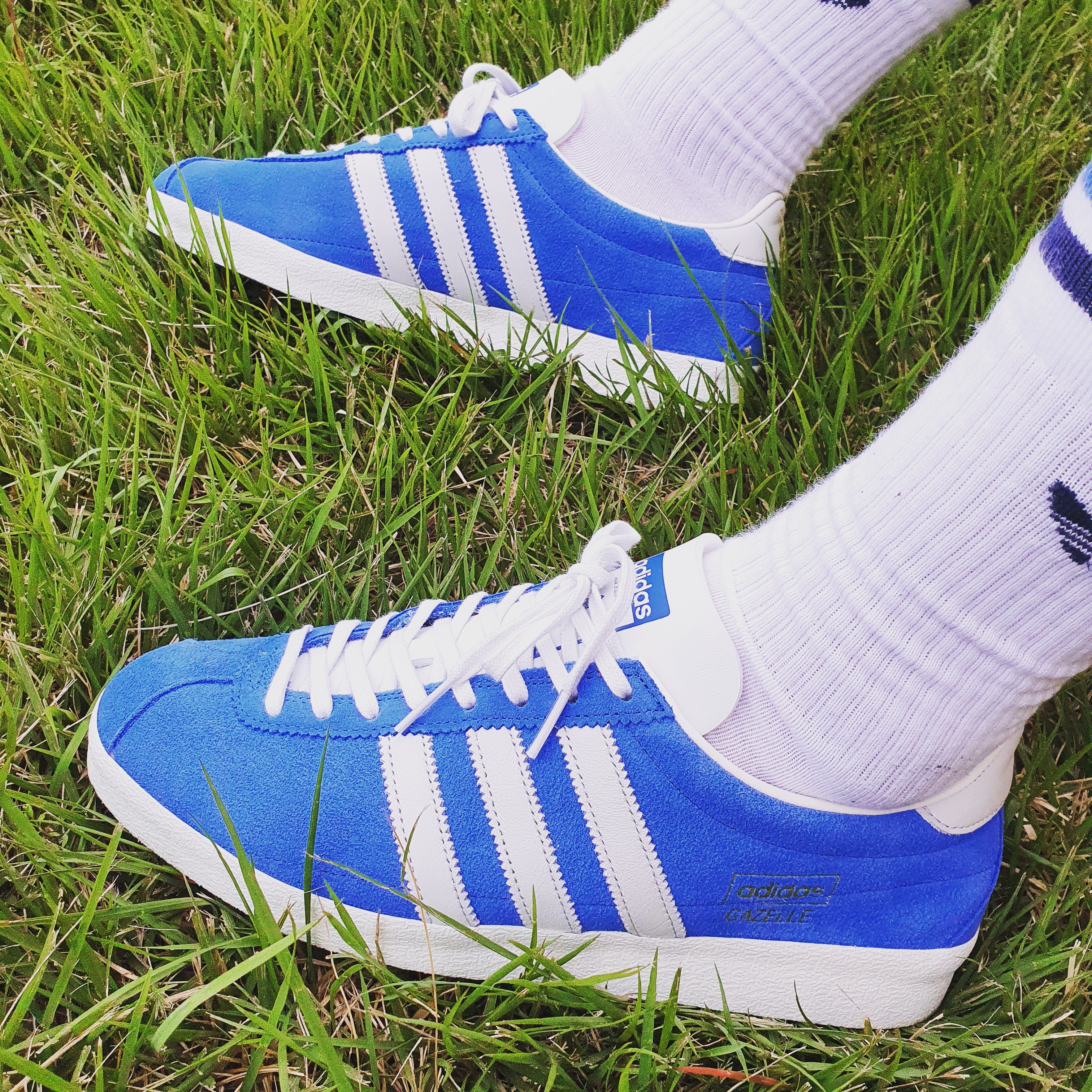 Adidas Gazelle Vintage Blue Bird 착용 스타일