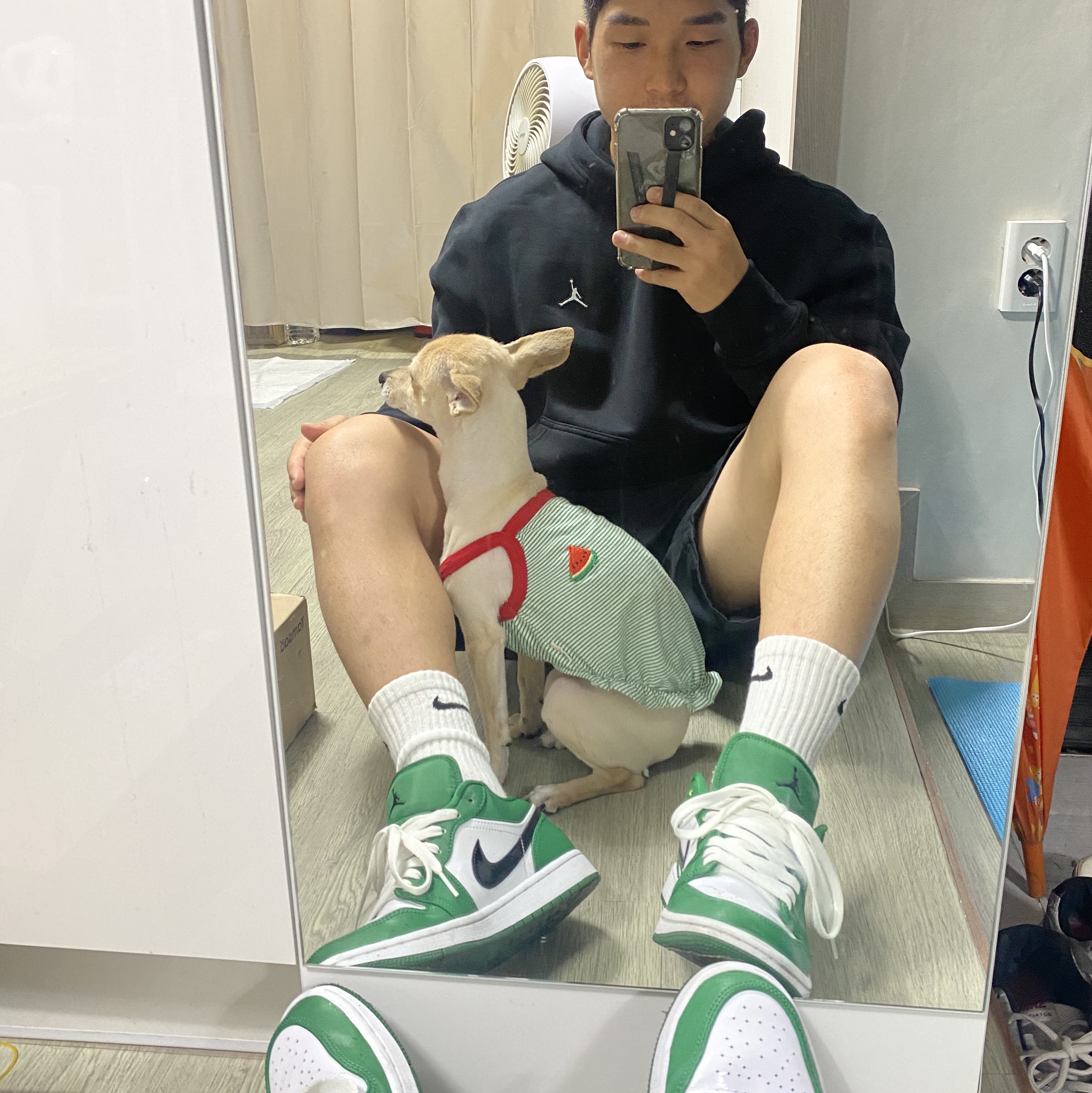 Jordan 1 Low Pine Green 착용 스타일
