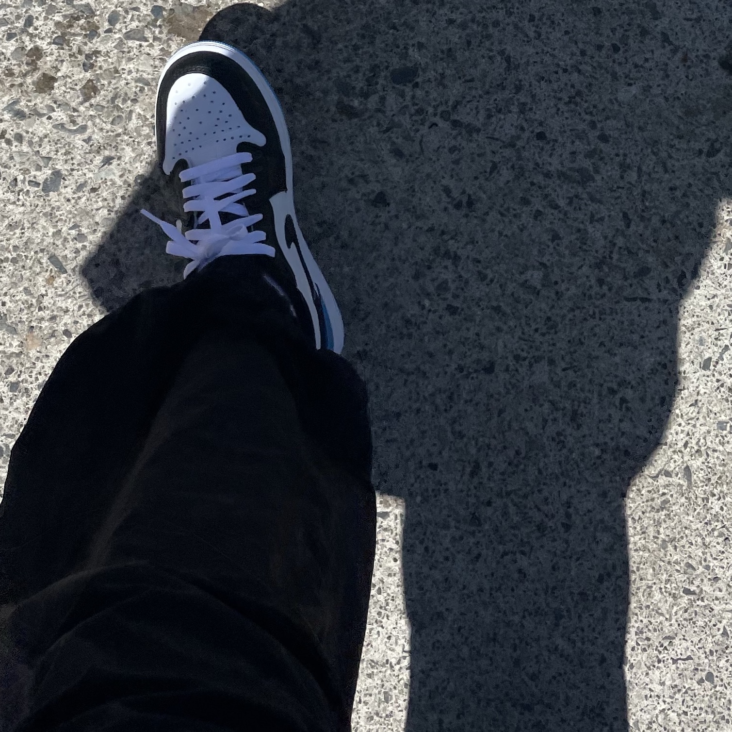 Jordan 1 Retro Low OG Black and Dark Powder Blue 착용 스타일 - 2