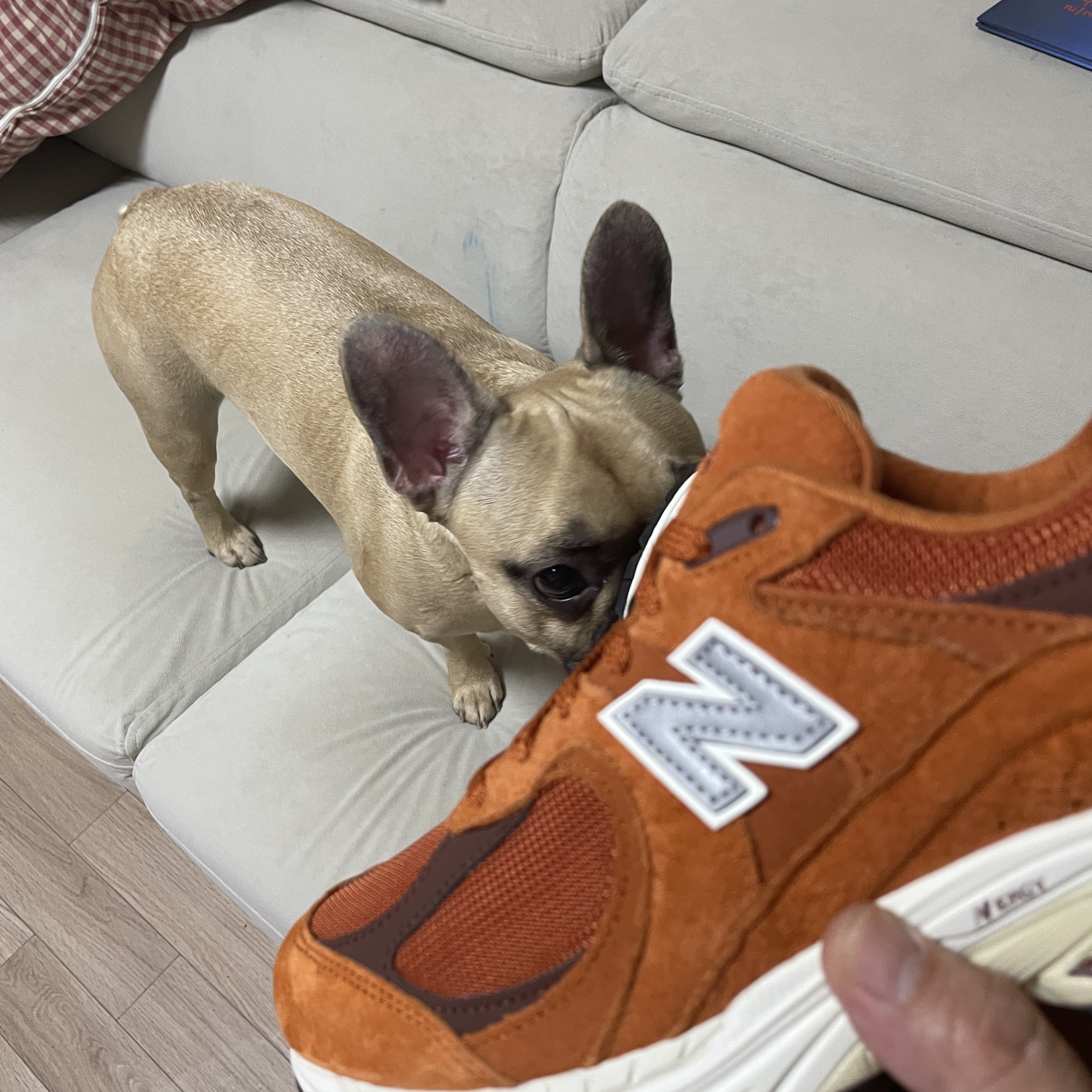 New Balance 2002R Rust Oxide 착용 스타일