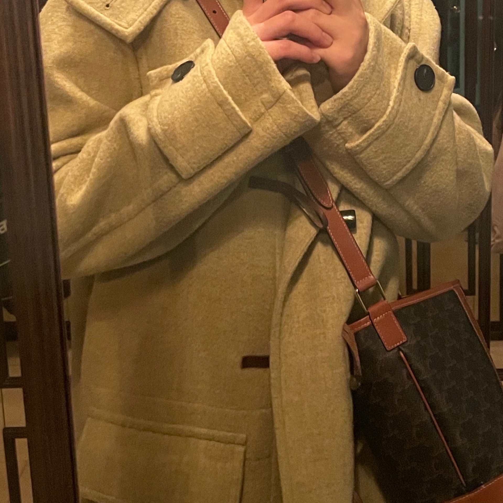 Celine Small Bucket in Triomphe Canvas and Calfskin Tan 착용 스타일