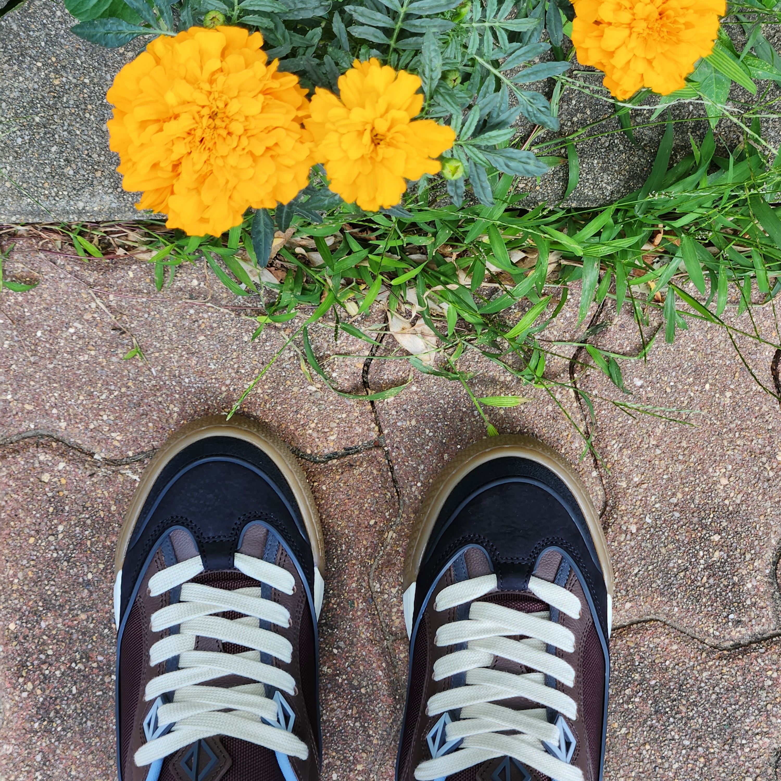 Dior x Cactus Jack B713 Sneakers Mocha Black 착용 스타일