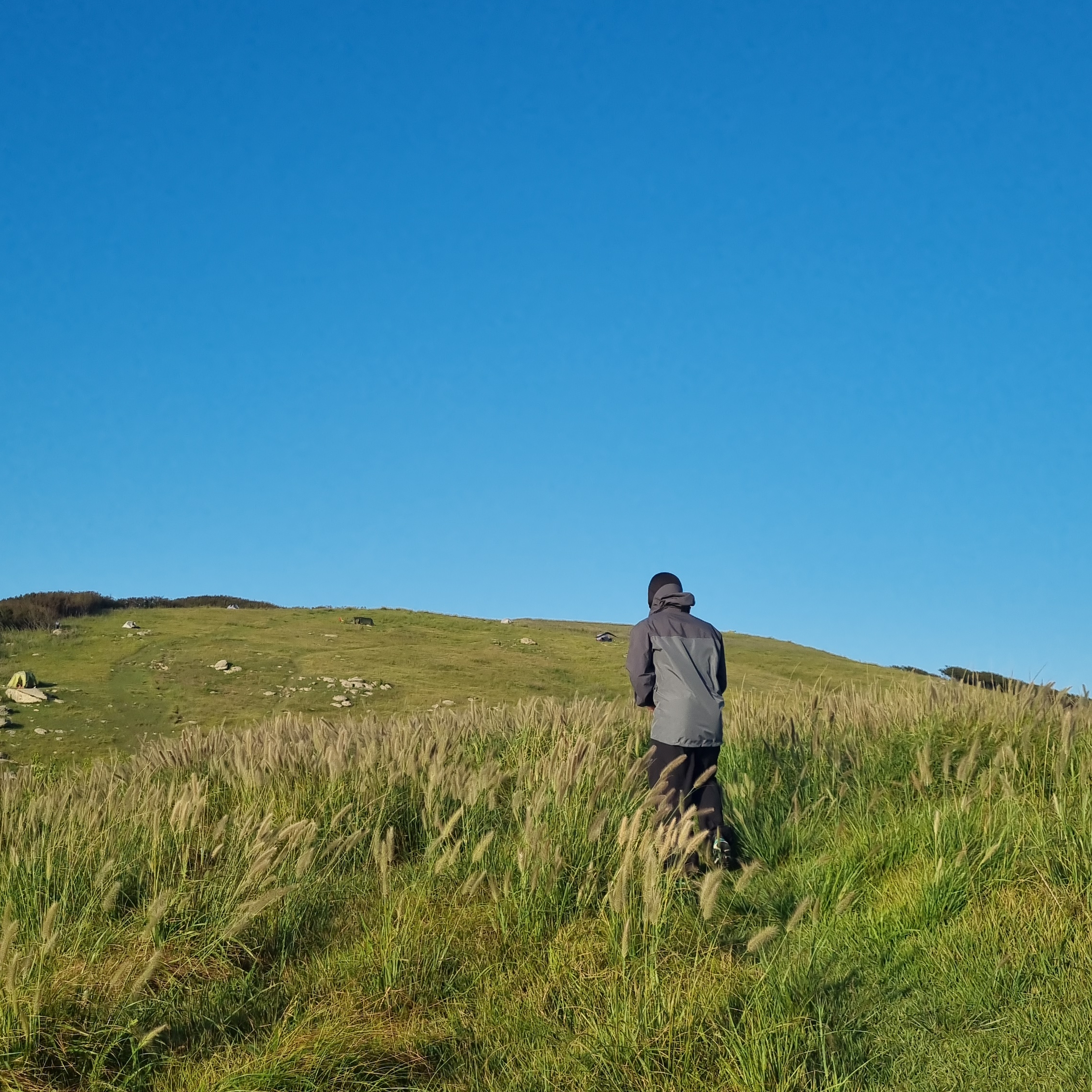 Arc'teryx Alpha AR Jacket Glitch 착용 스타일 - 3