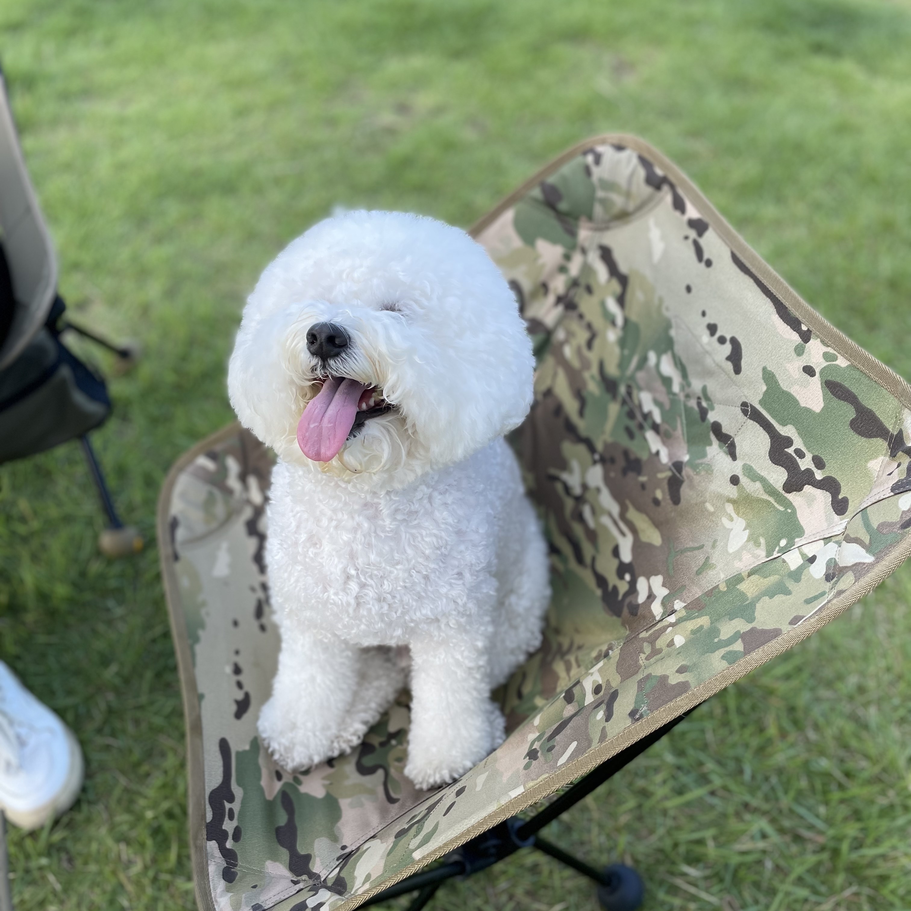 Helinox Tactical Chair Multicam 착용 스타일