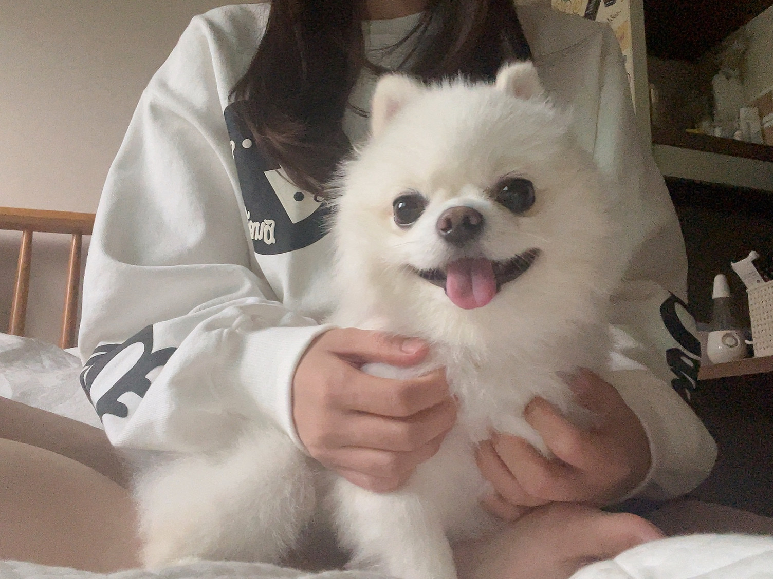 똘빡이님의 스타일
