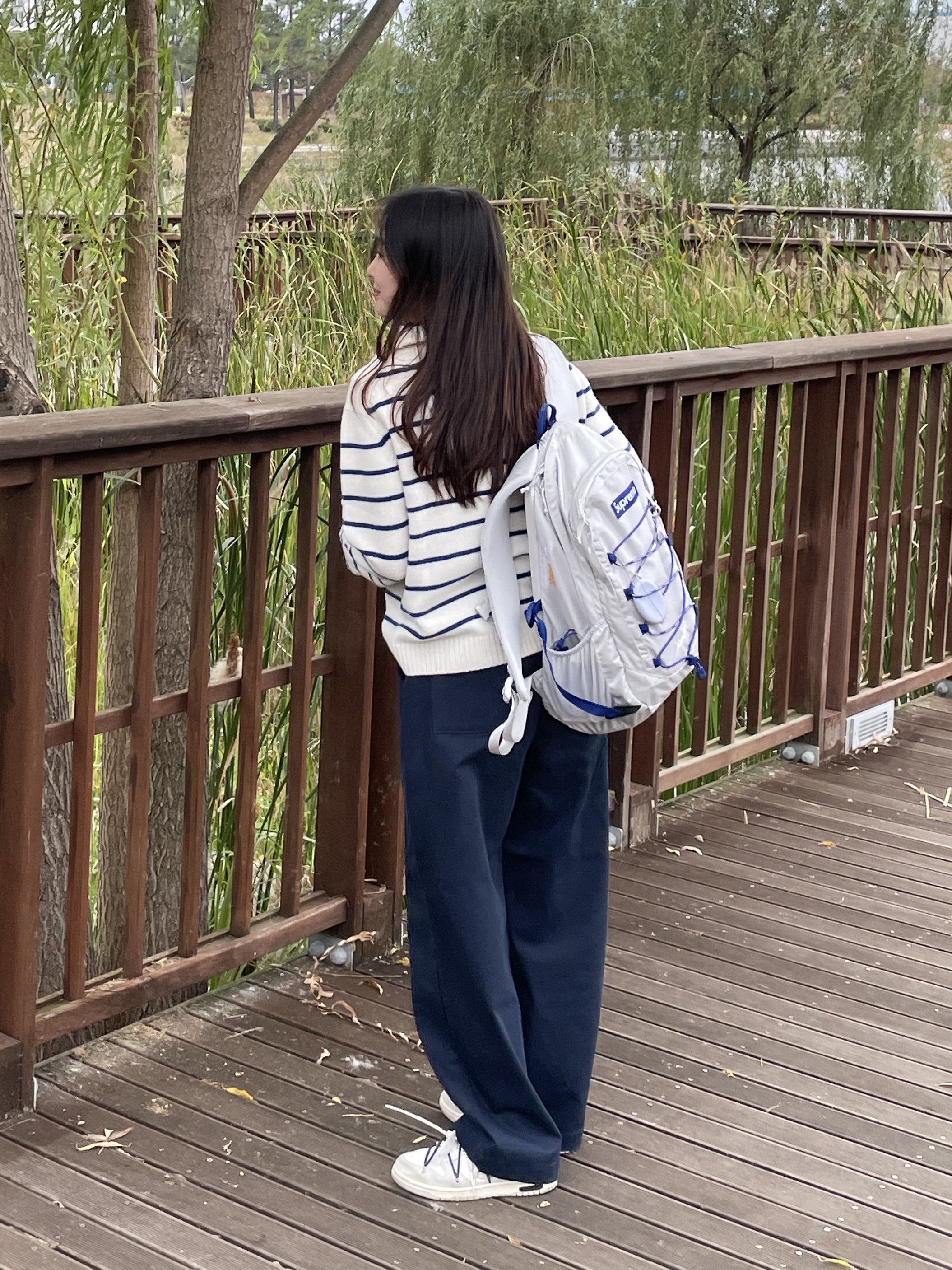 Supreme Backpack Silver - 22SS, Nike x Off-White Dunk Low The 50 - Lot 18 착용 스타일 - 1