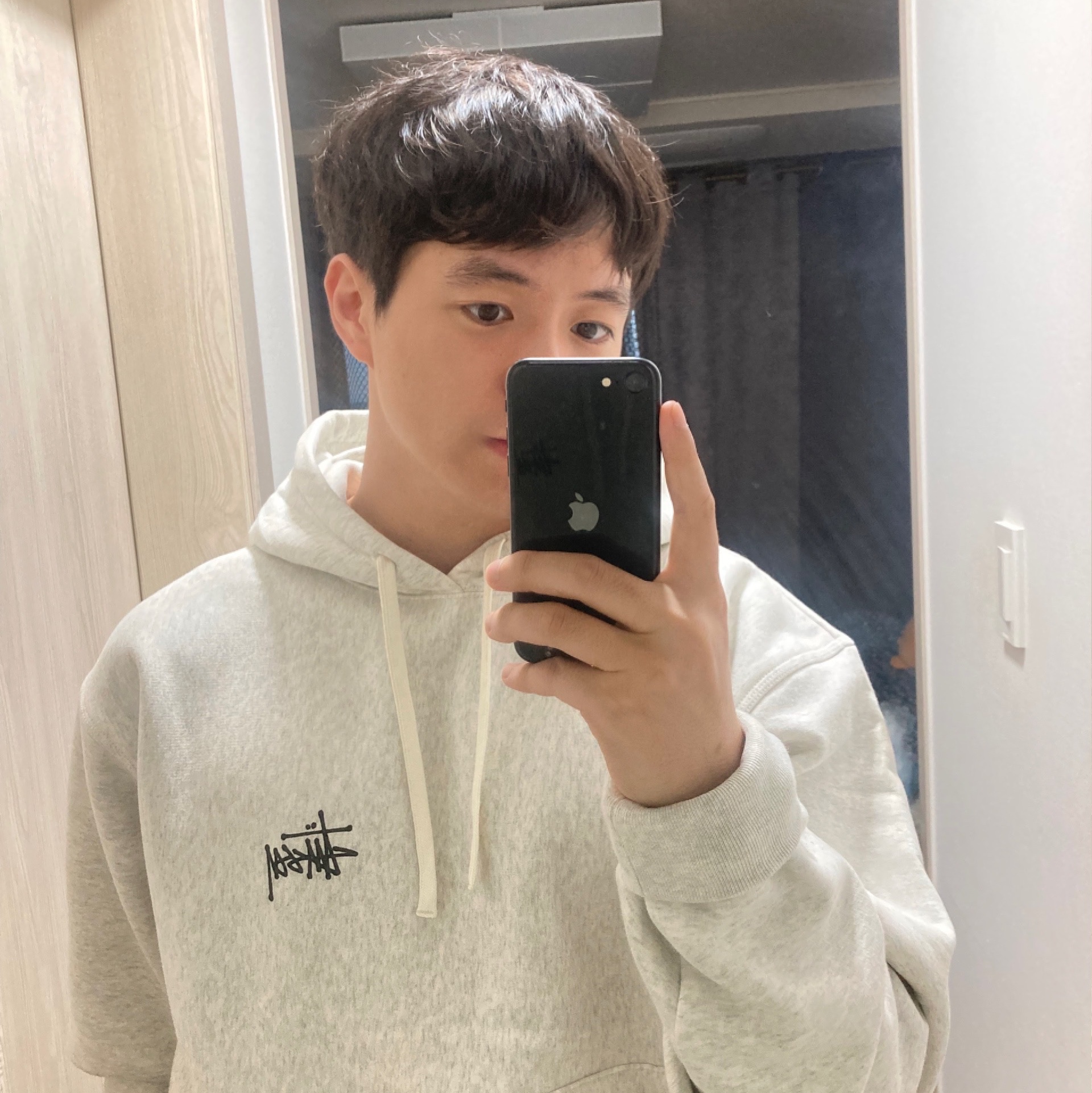 Stussy Basic Stussy Hoodie Ash Heather 2022 착용 스타일