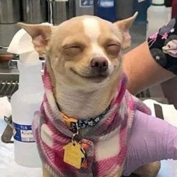 관심 유저 프로필 이미지