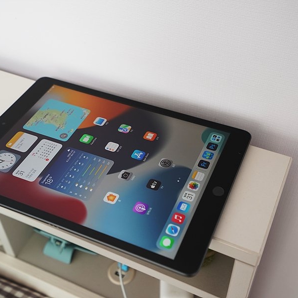 Apple iPad Pro 5th Gen 12.9-inch Wifi 2TB Space Gray (Korean Ver.) 착용 스타일