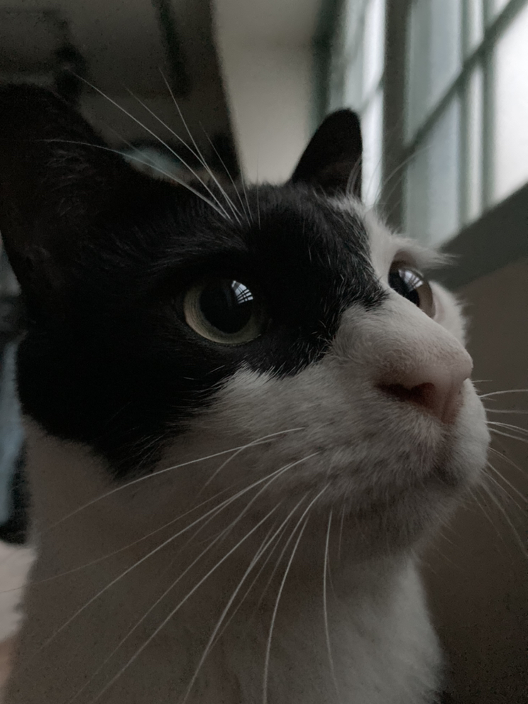 관심 유저 프로필 이미지