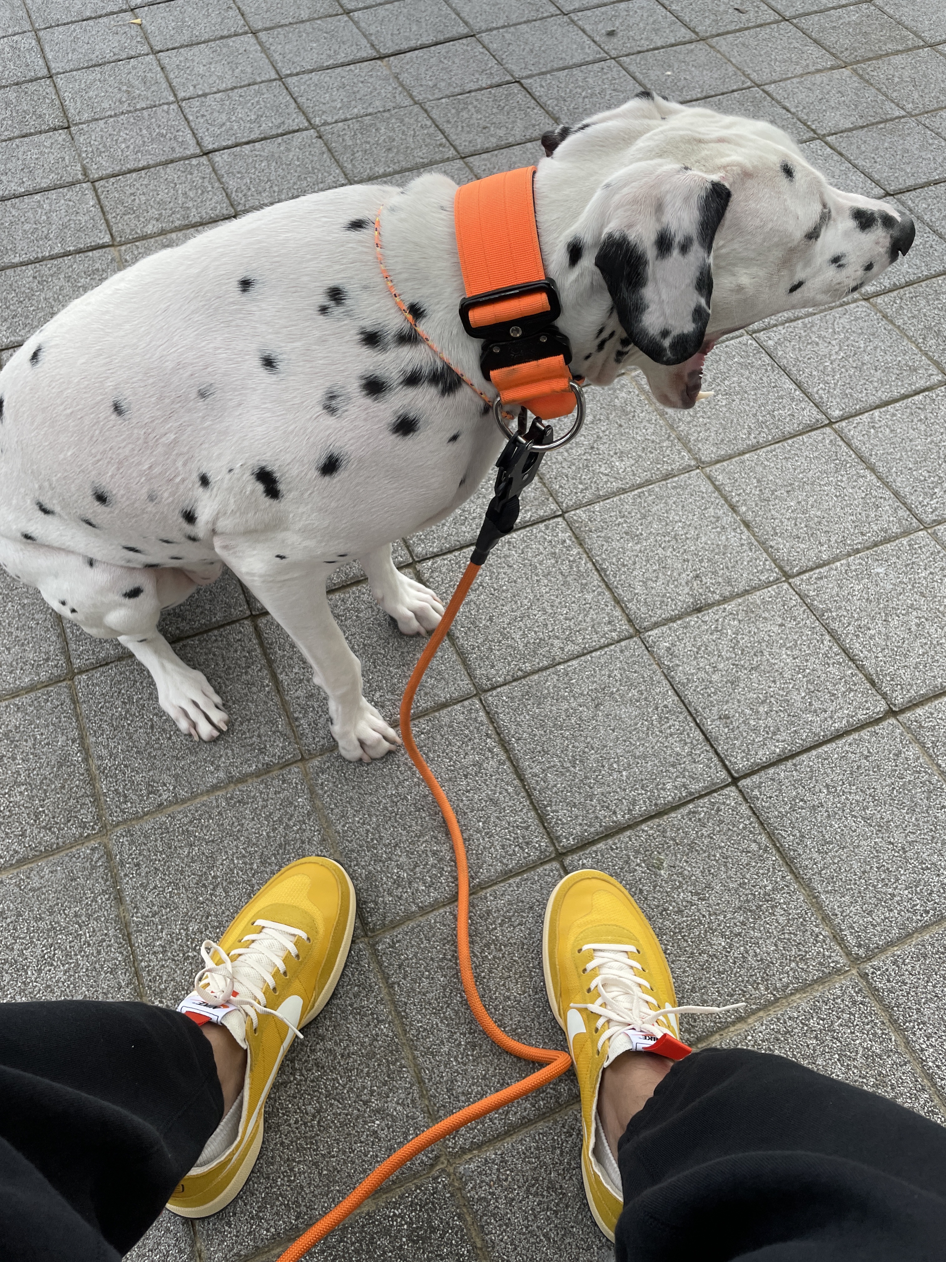 Nike x Tom Sachs General Purpose Shoe Archive, Nike x Patta Wave Five Jogging Pants Black 착용 스타일
