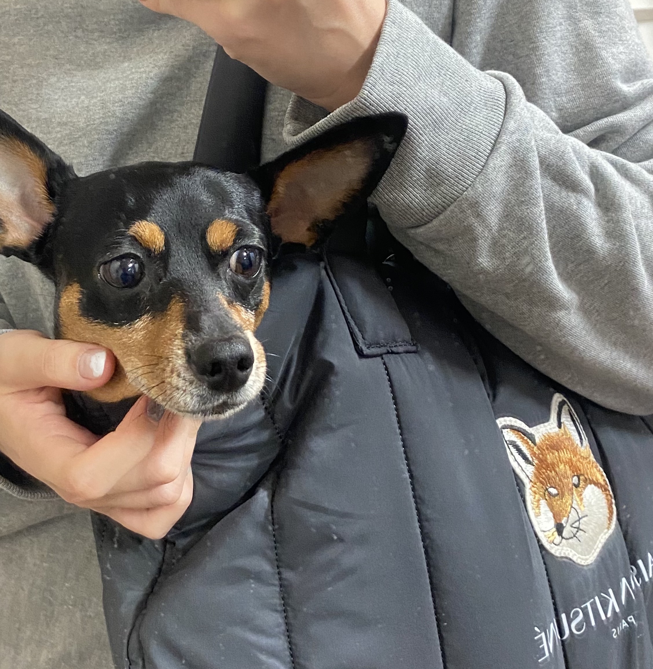 Maison Kitsune x Laneige Padded Bag Navy 착용 스타일