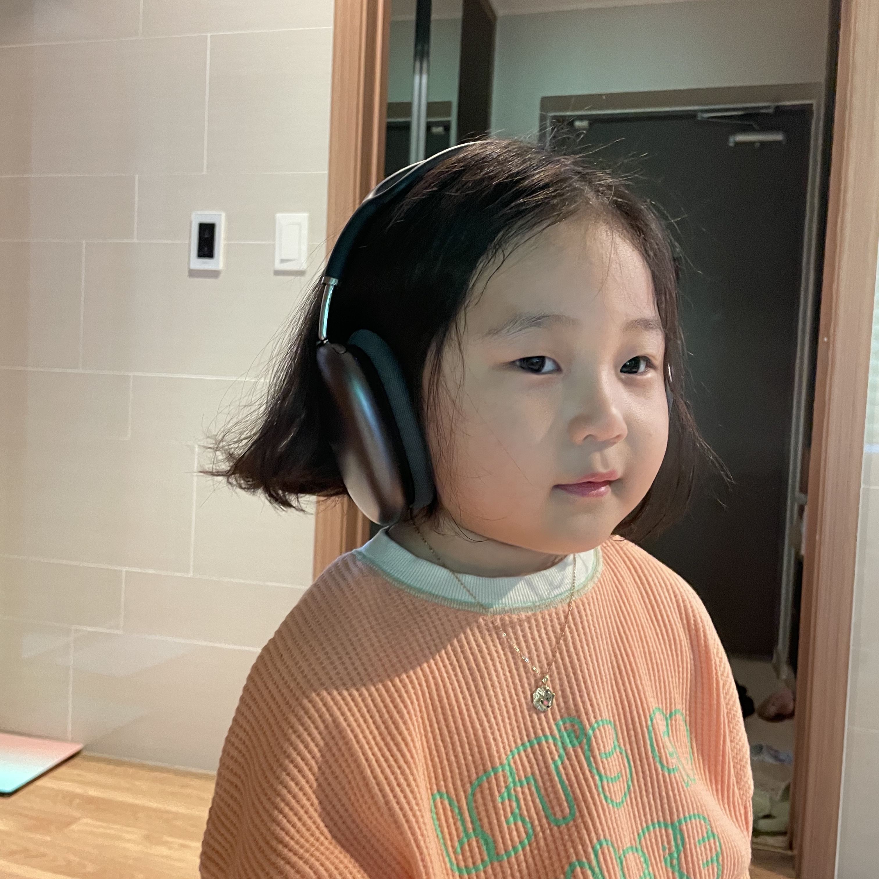 Apple AirPods Max Lightning Space Gray (Korean Ver.) 착용 스타일