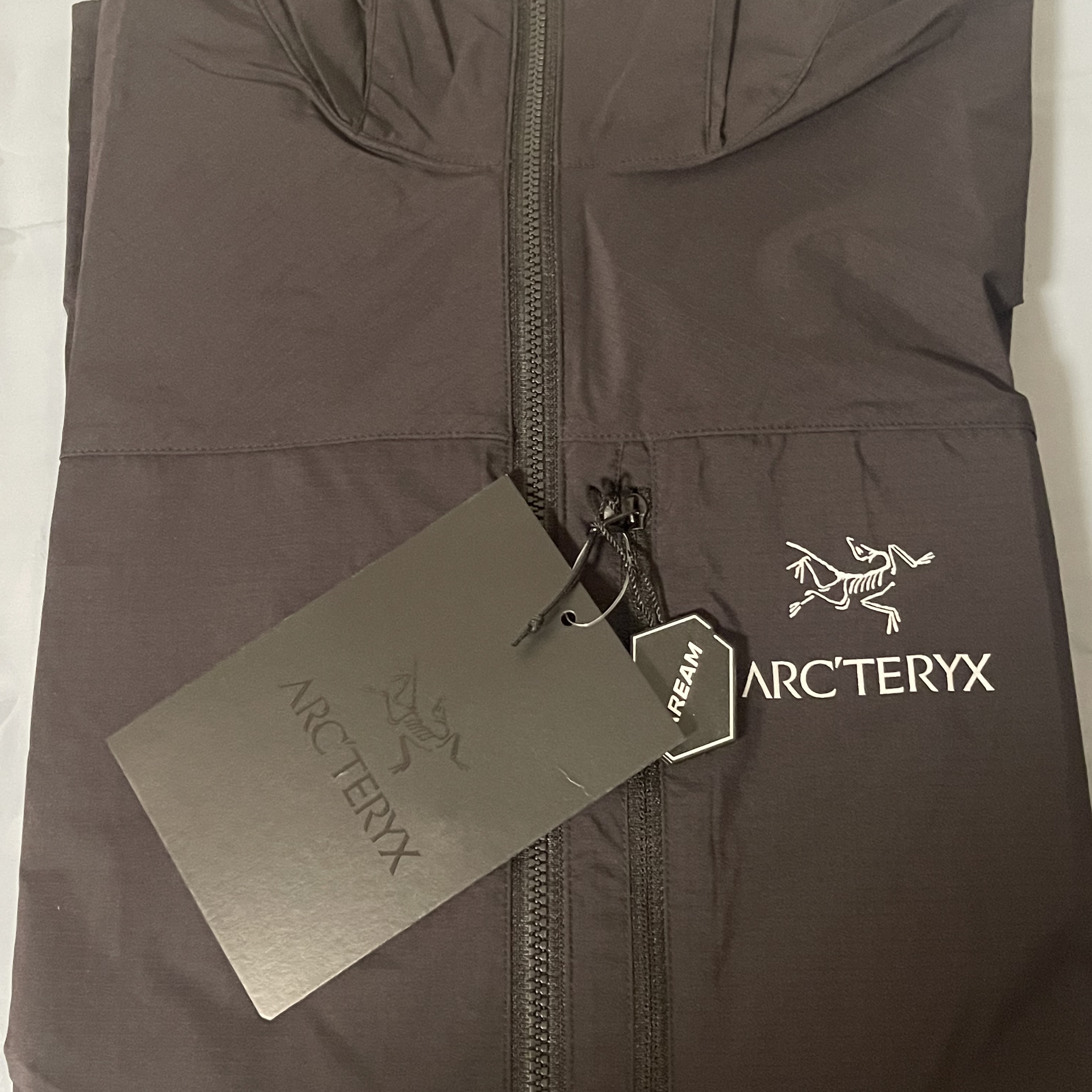 Arc'teryx Squamish Hoody Black 착용 스타일 - 2