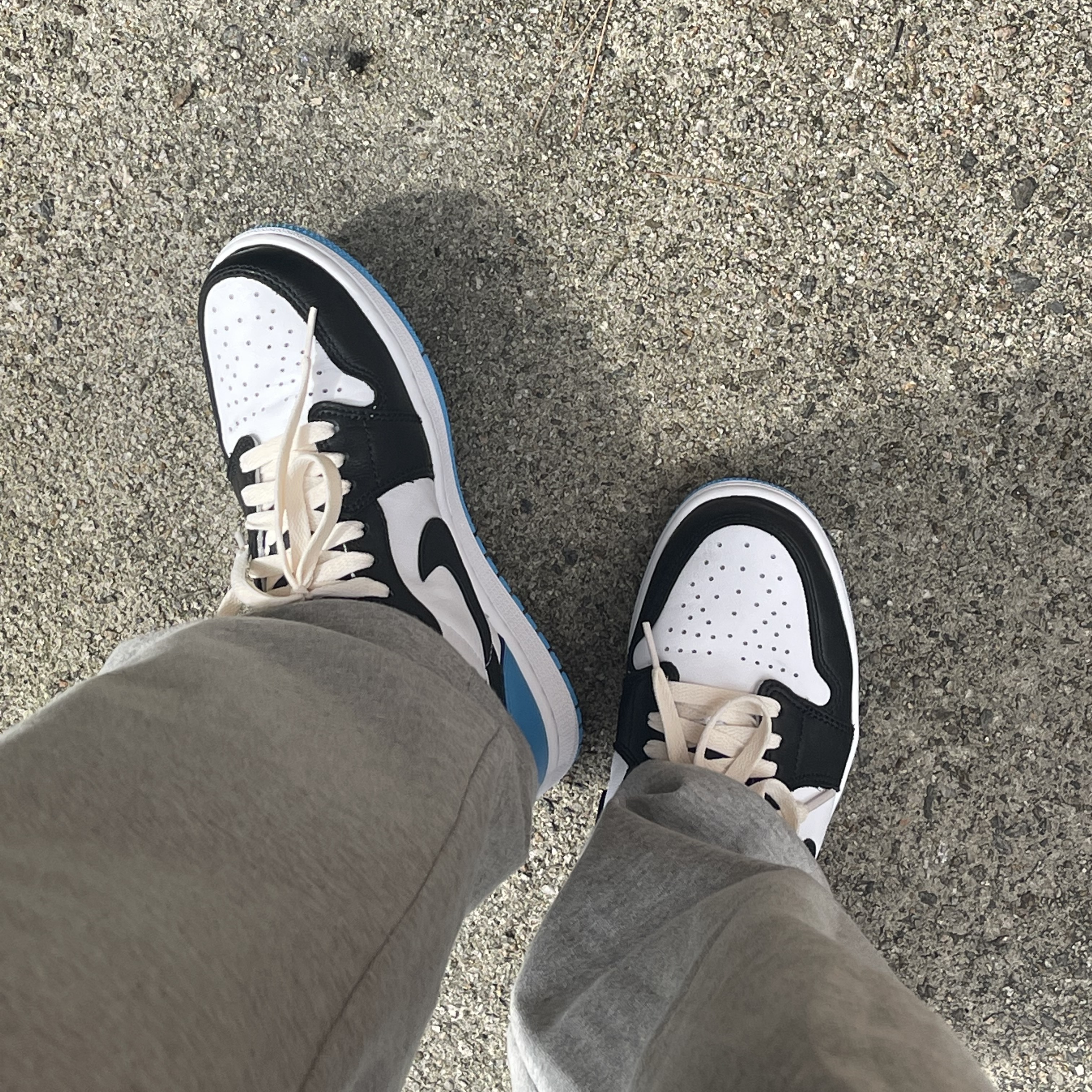 Jordan 1 Retro Low OG Black and Dark Powder Blue 착용 스타일