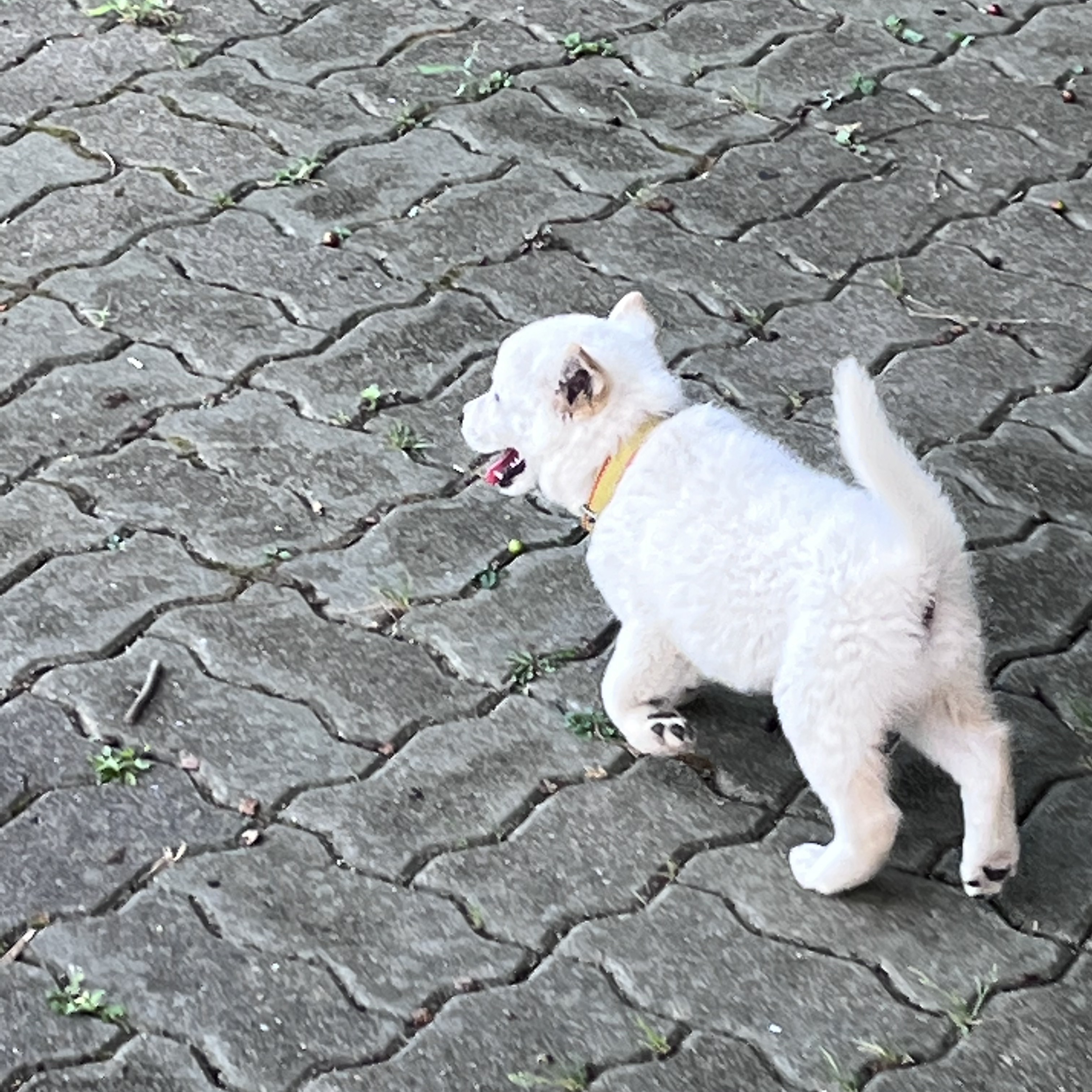 nisi36897님의 스타일