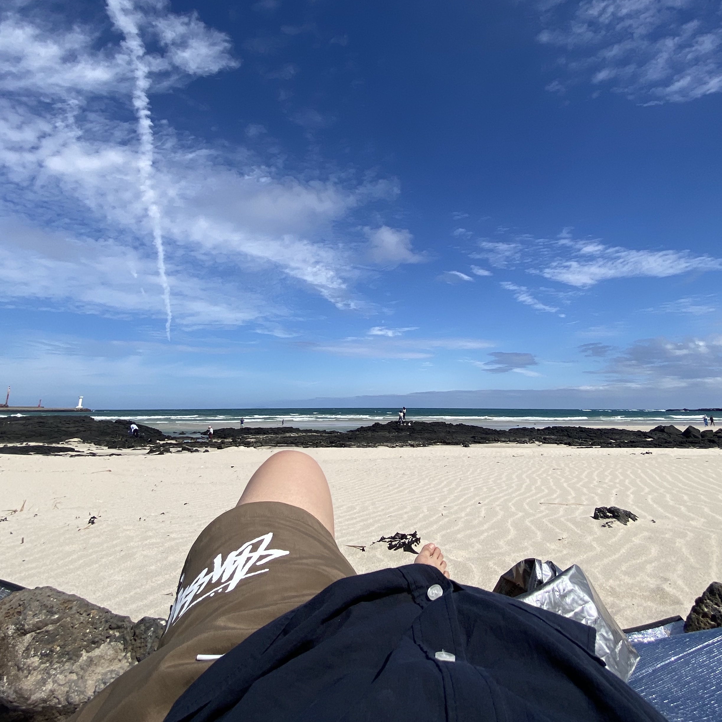 Stussy Big Stock Water Shorts Brown 착용 스타일 - 1