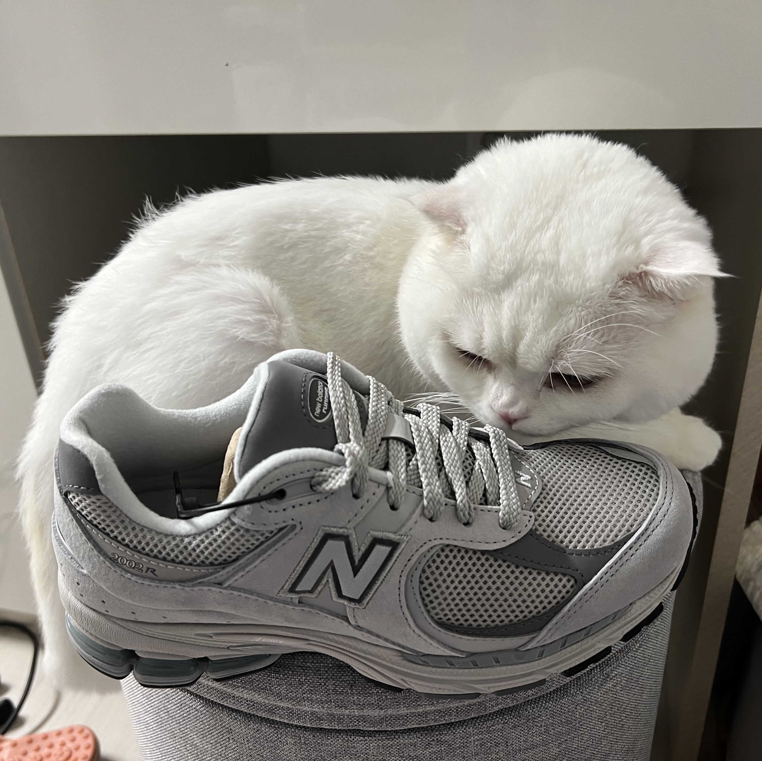 New Balance 2002R T2 Gray 착용 스타일 - 1