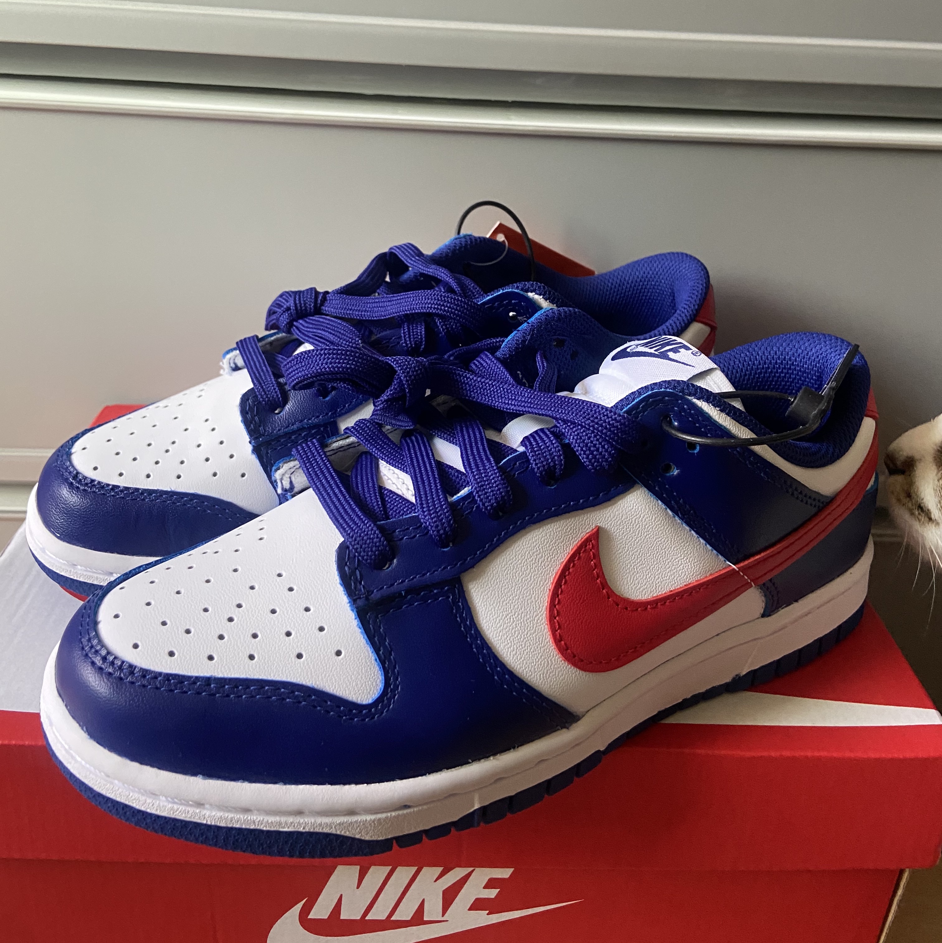 (W) Nike Dunk Low White and University Red, Nike Dunk Low Retro SE Jackpot Malachite 착용 스타일 - 3