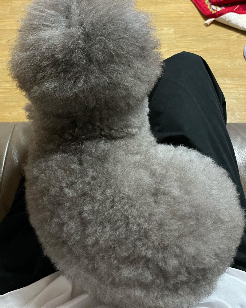 KREAM 프로필 이미지