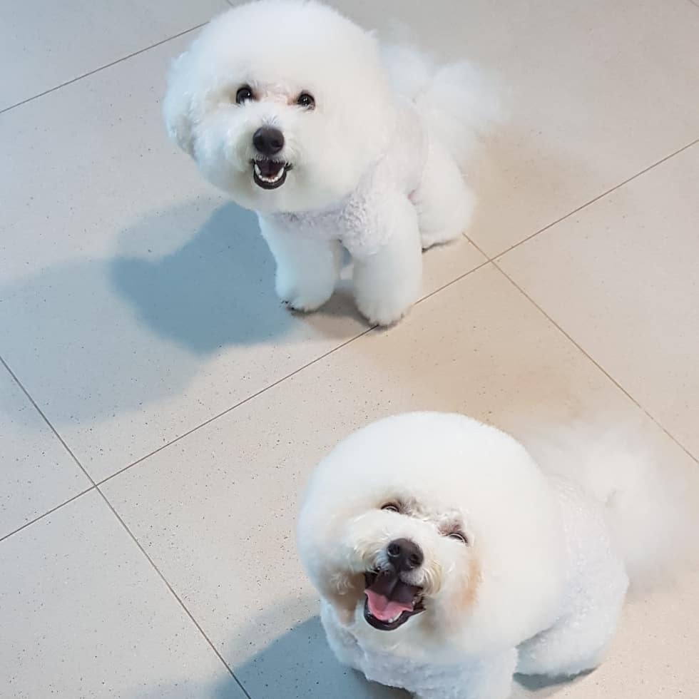 망고레고님의 스타일