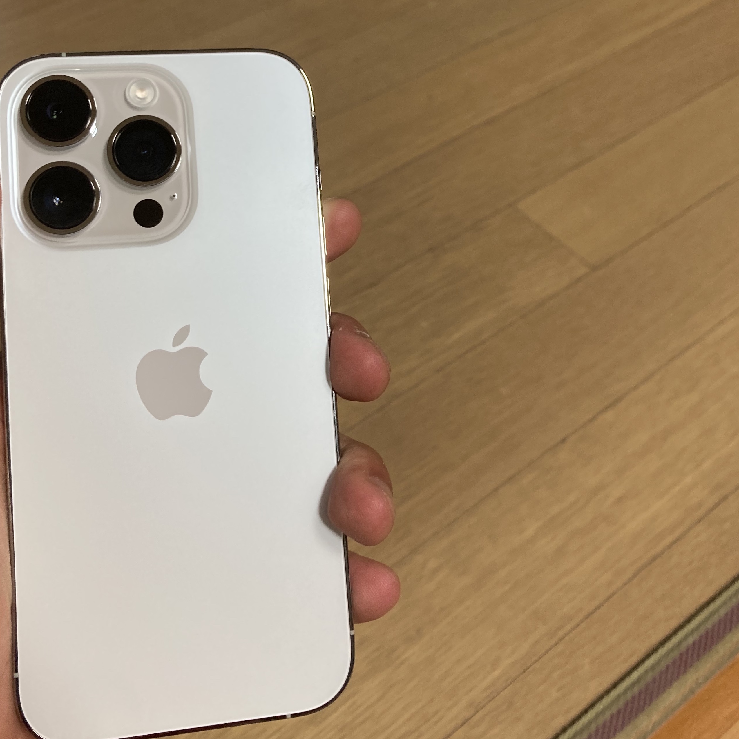 Apple iPhone 14 Pro 128GB Silver (Korean Ver.) 착용 스타일