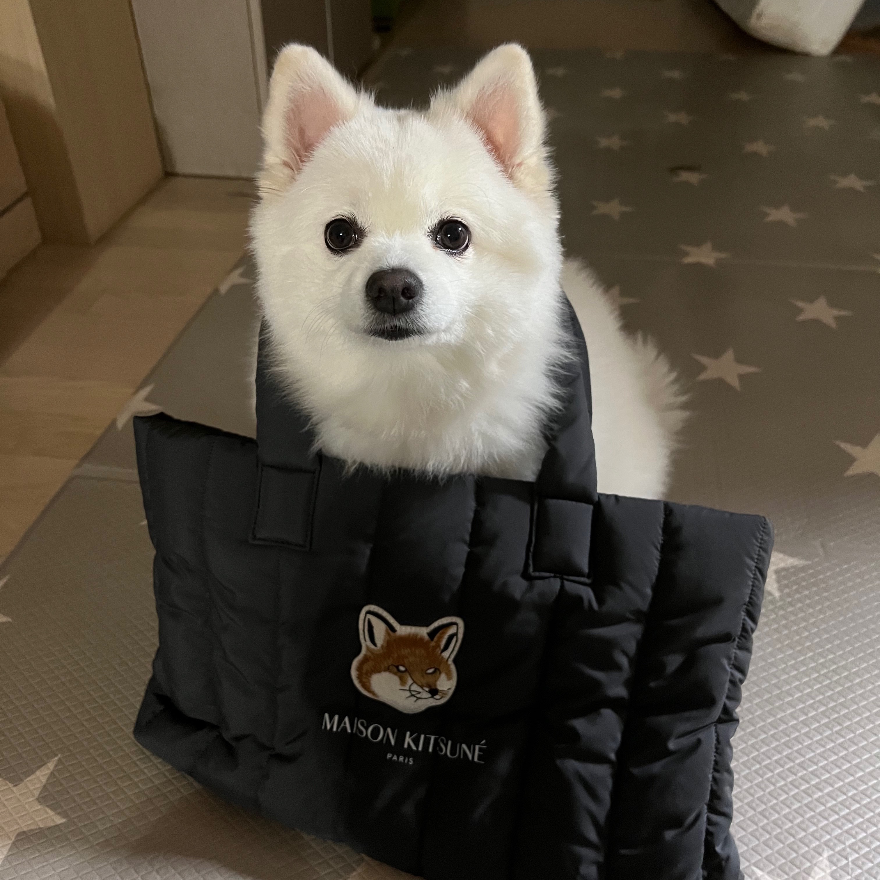 Maison Kitsune x Laneige Padded Bag Navy 착용 스타일 - 2