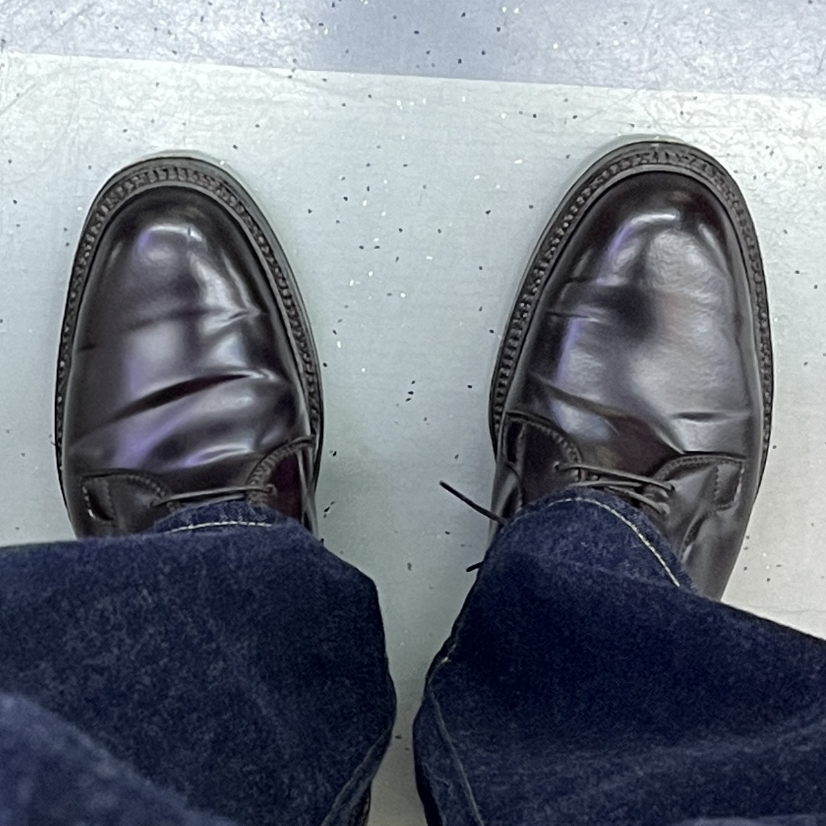 Alden 990 Cordovan Plain Toe Blucher Oxford Burgundy - D 착용 스타일 - 2