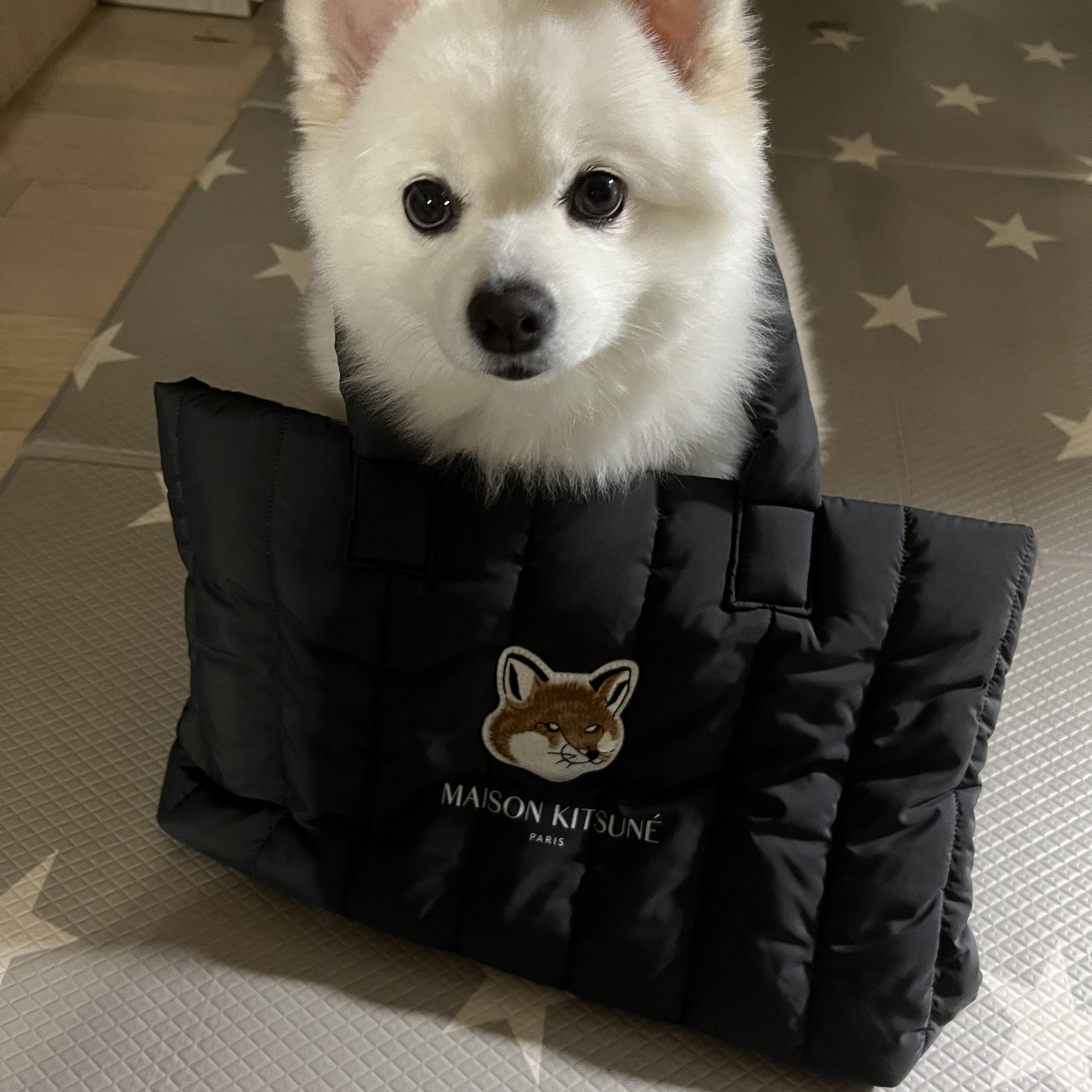 Maison Kitsune x Laneige Padded Bag Navy 착용 스타일 - 3