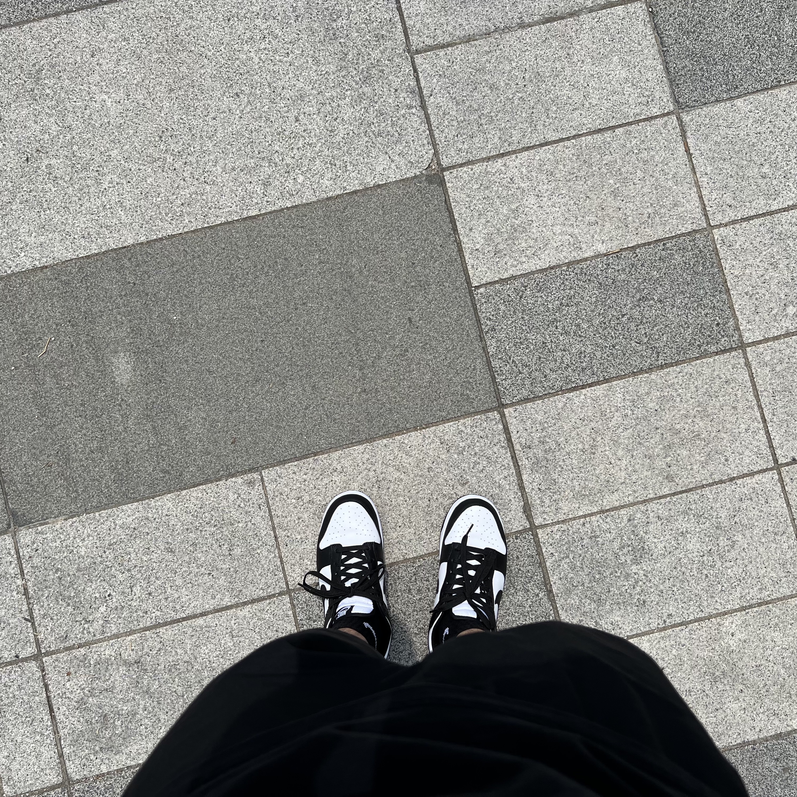 Nike Dunk Low Retro Black, Supreme Classic Logo T-Shirt Black - 22SS 착용 스타일