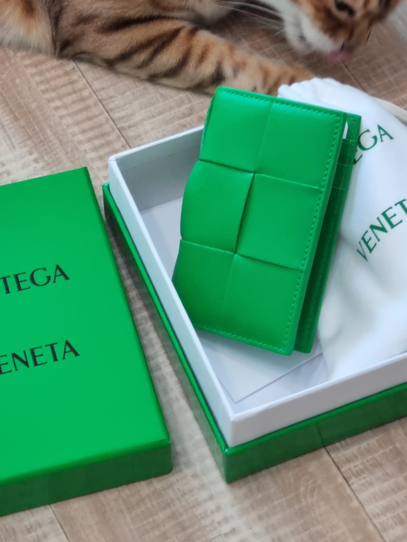 Bottega Veneta Flap Card Case Parakeet 착용 스타일 - 5