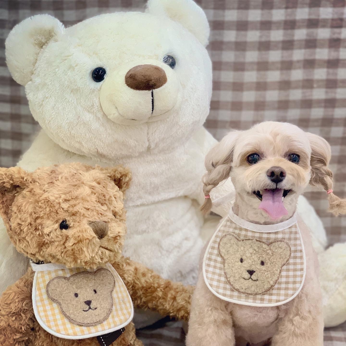 ralphie420님의 스타일