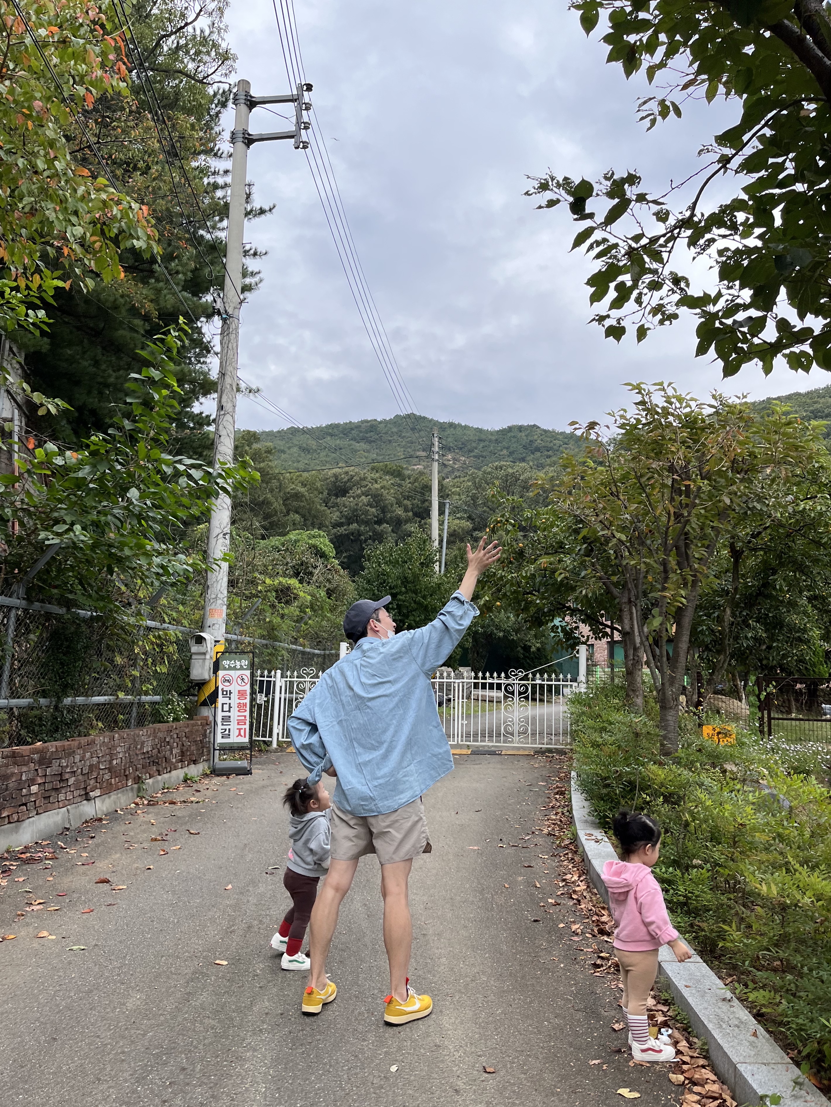 Nike x Tom Sachs General Purpose Shoe Archive, Essentials Volley Shorts Moss - 21SS 착용 스타일 - 1