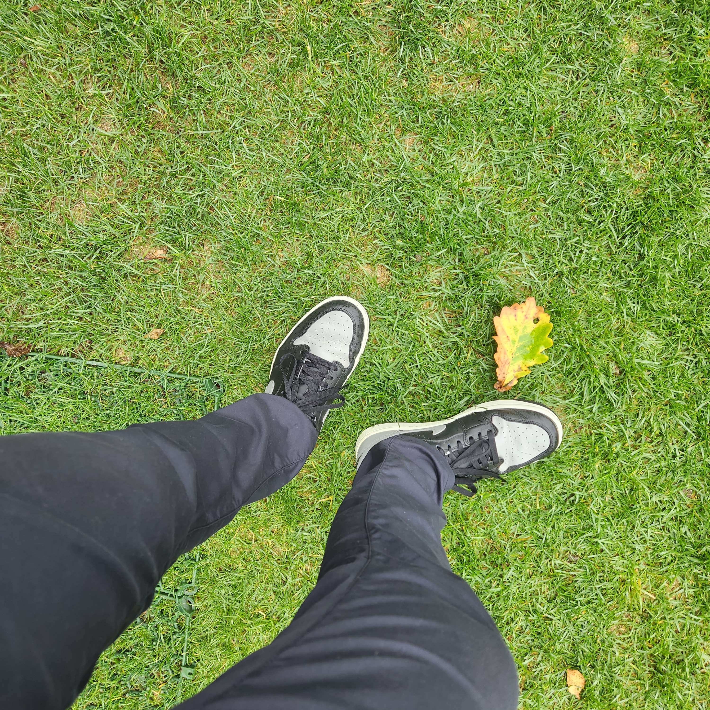 Jordan 1 Low Golf Shadow 착용 스타일 - 1